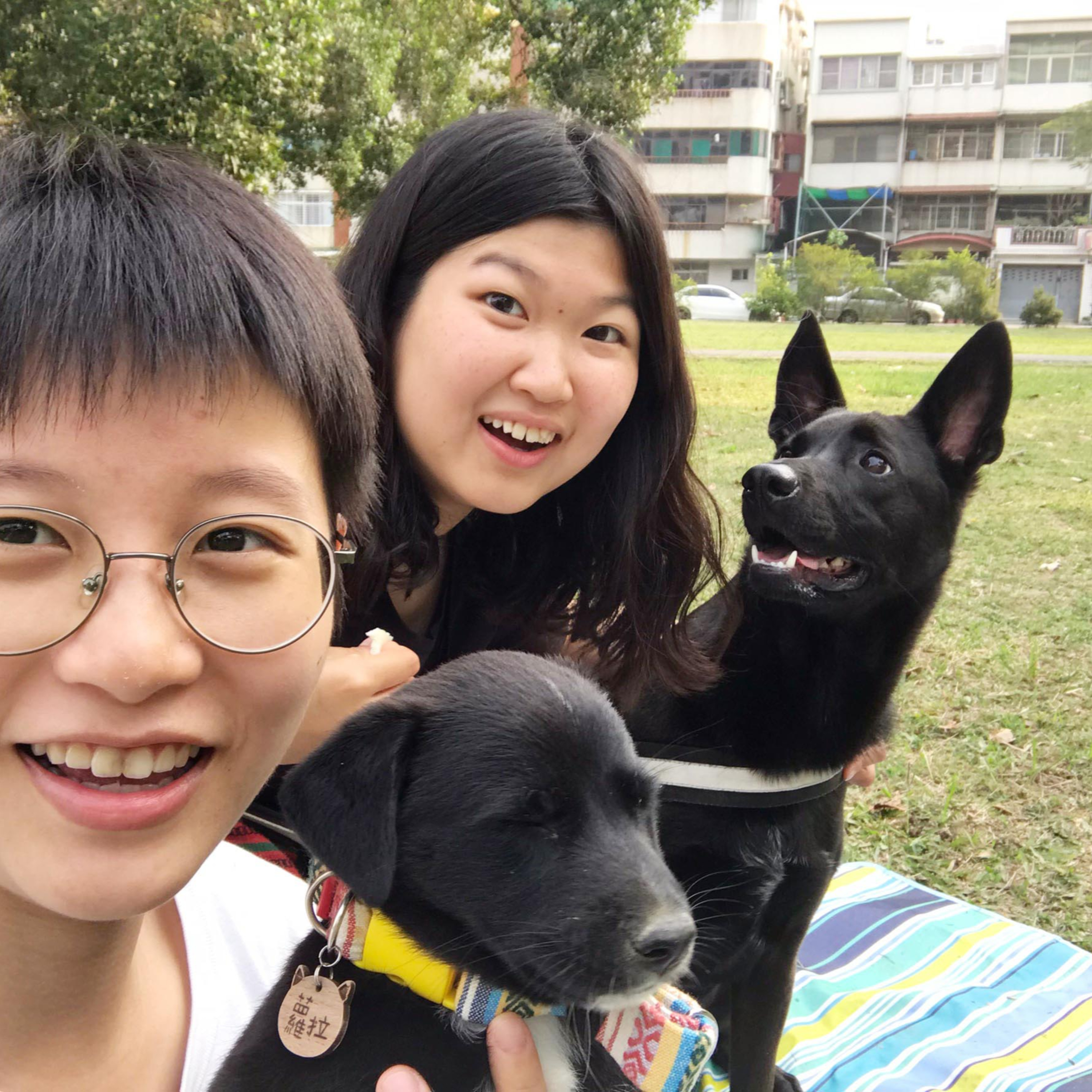 如何讓你家的狗同意你當中途家庭?她從23歲開始,三年間幫助22隻浪浪回家!