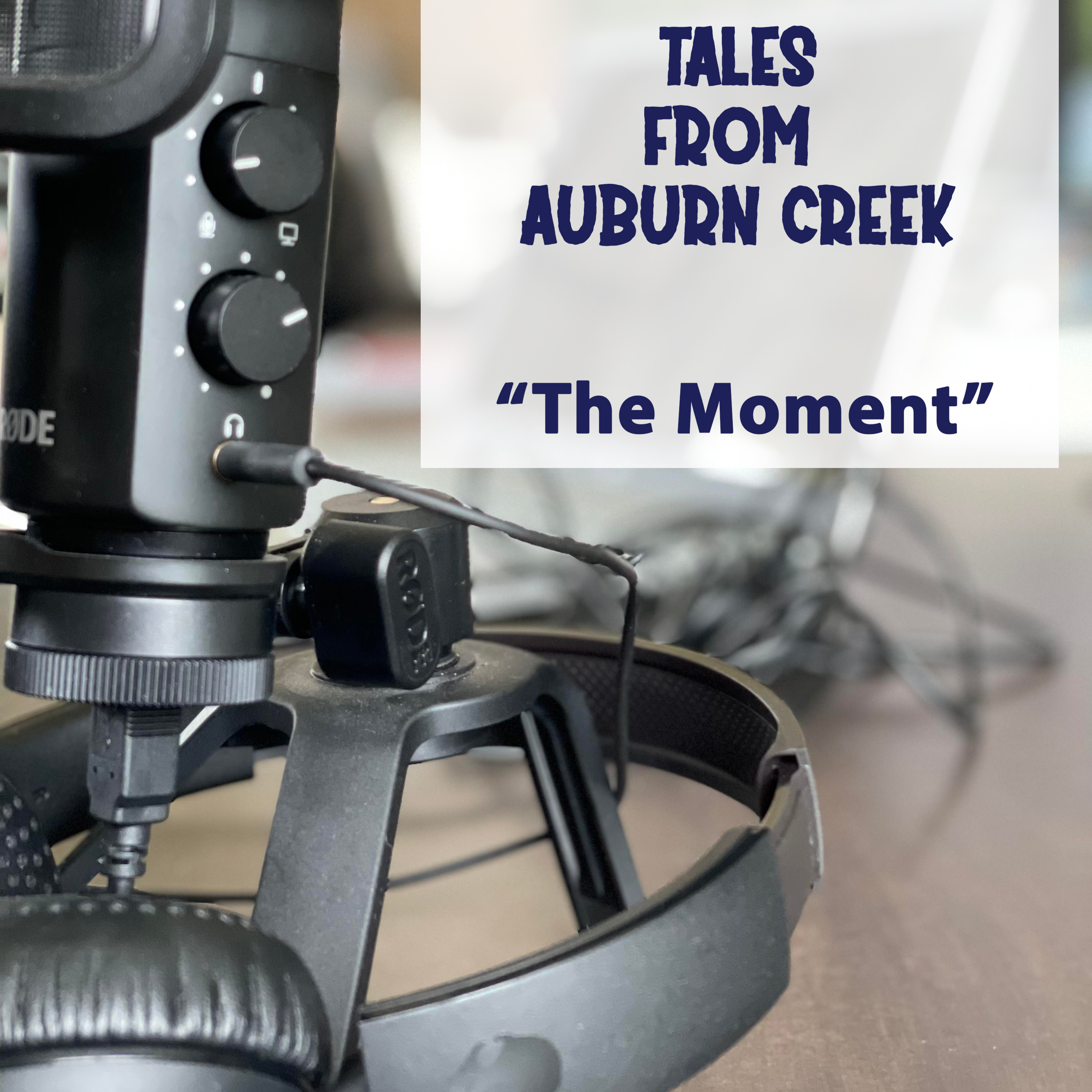 Tales from Auburn Creek