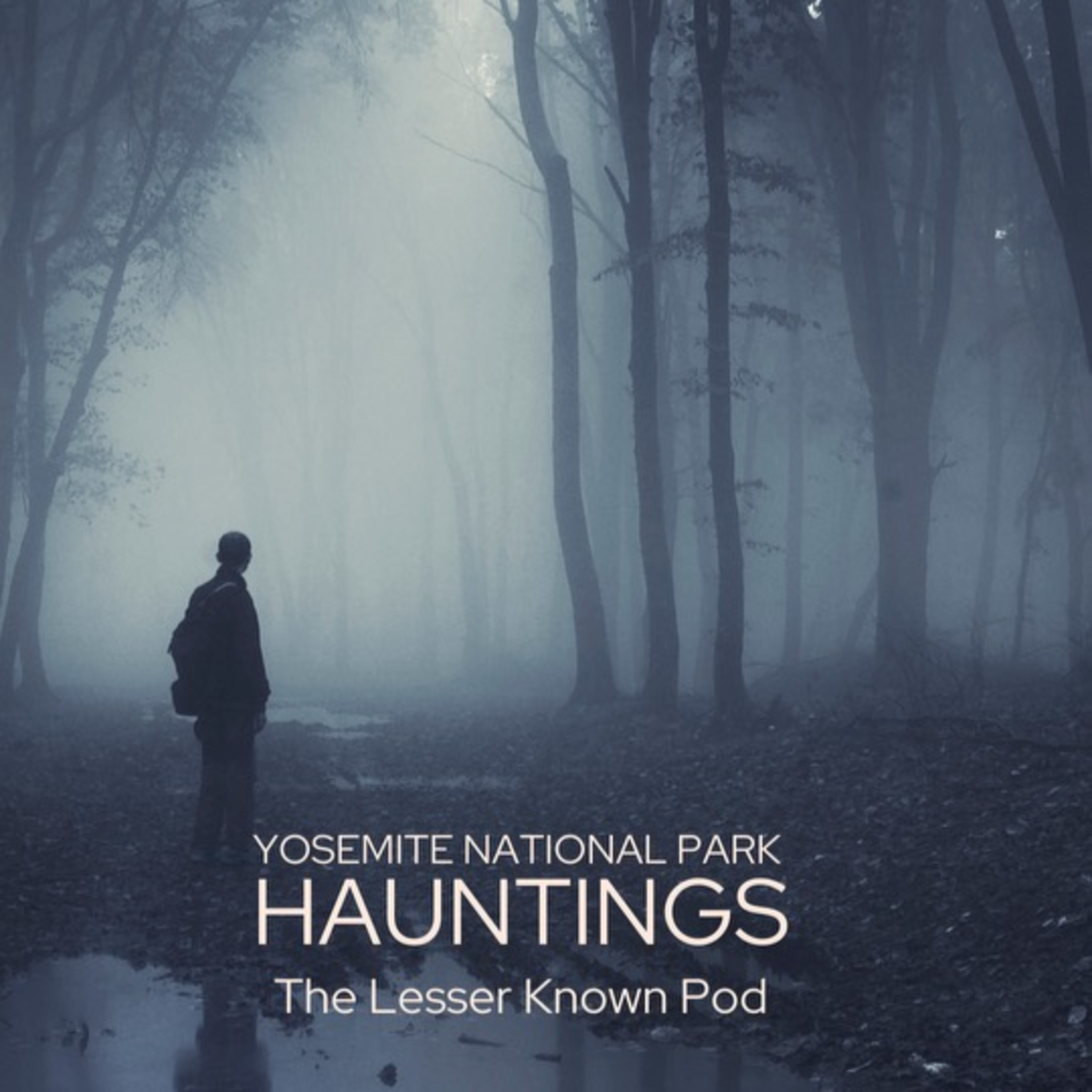 The Lesser Known Pod