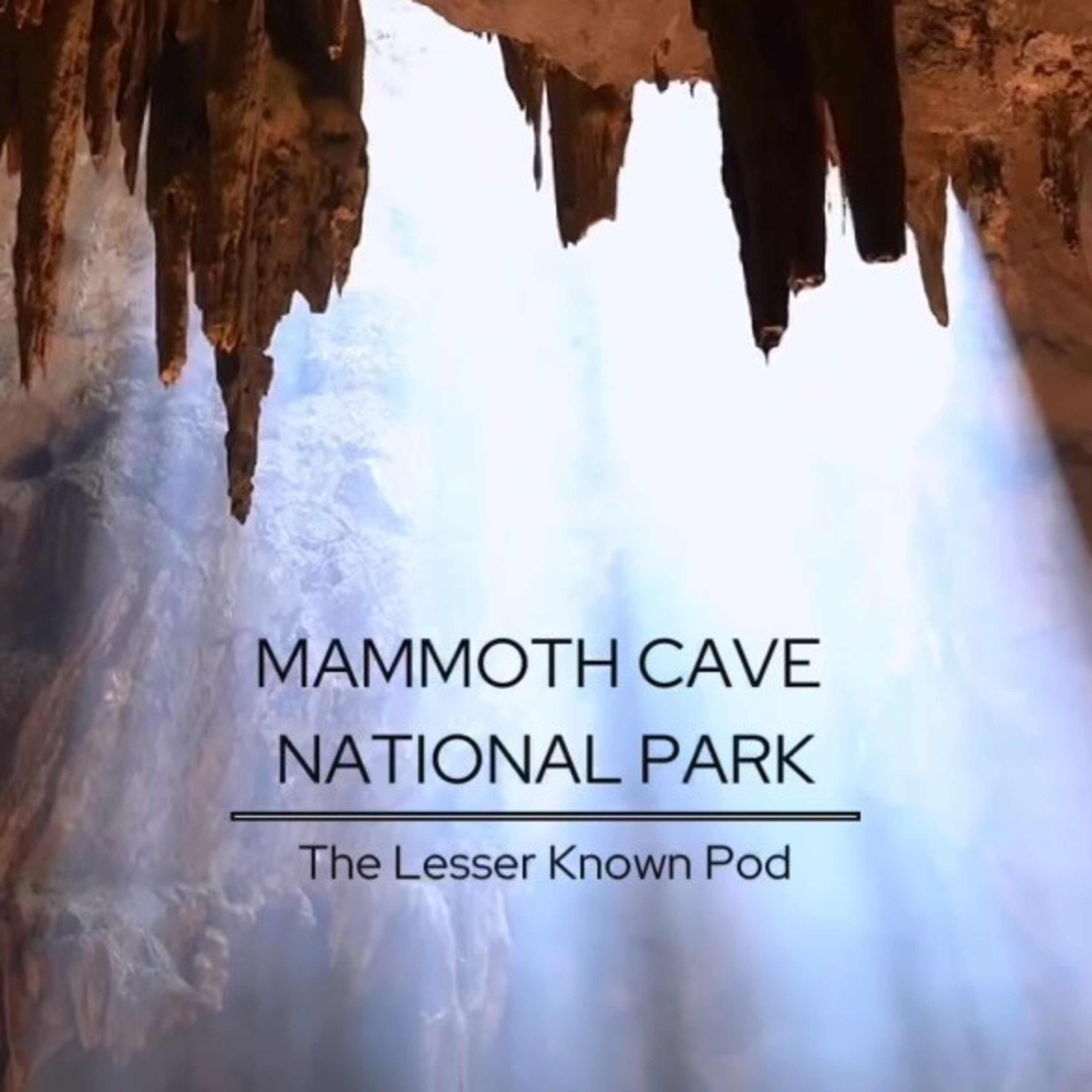 The Lesser Known Pod