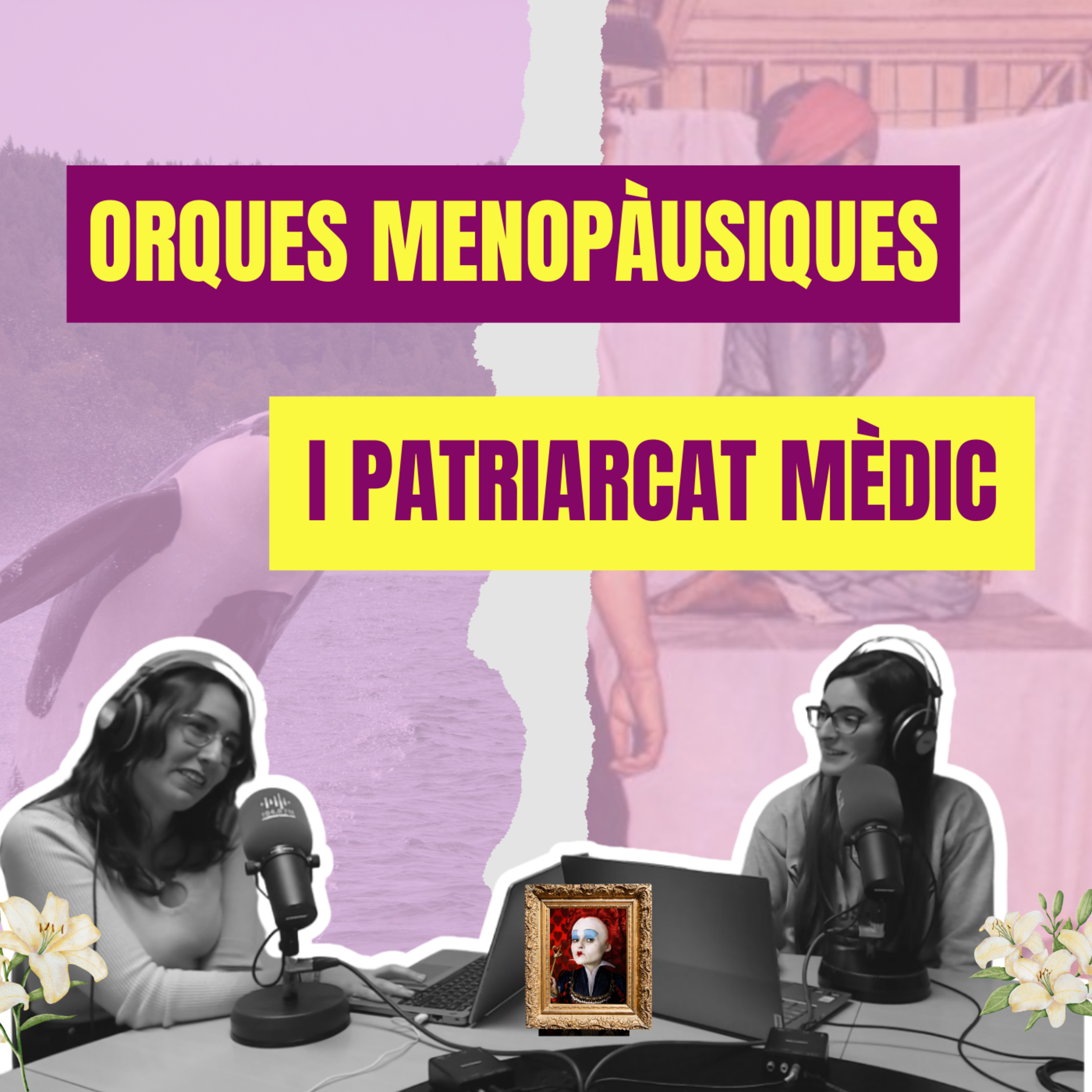 El secret de les orques i el preu de la ginecologia episode artwork