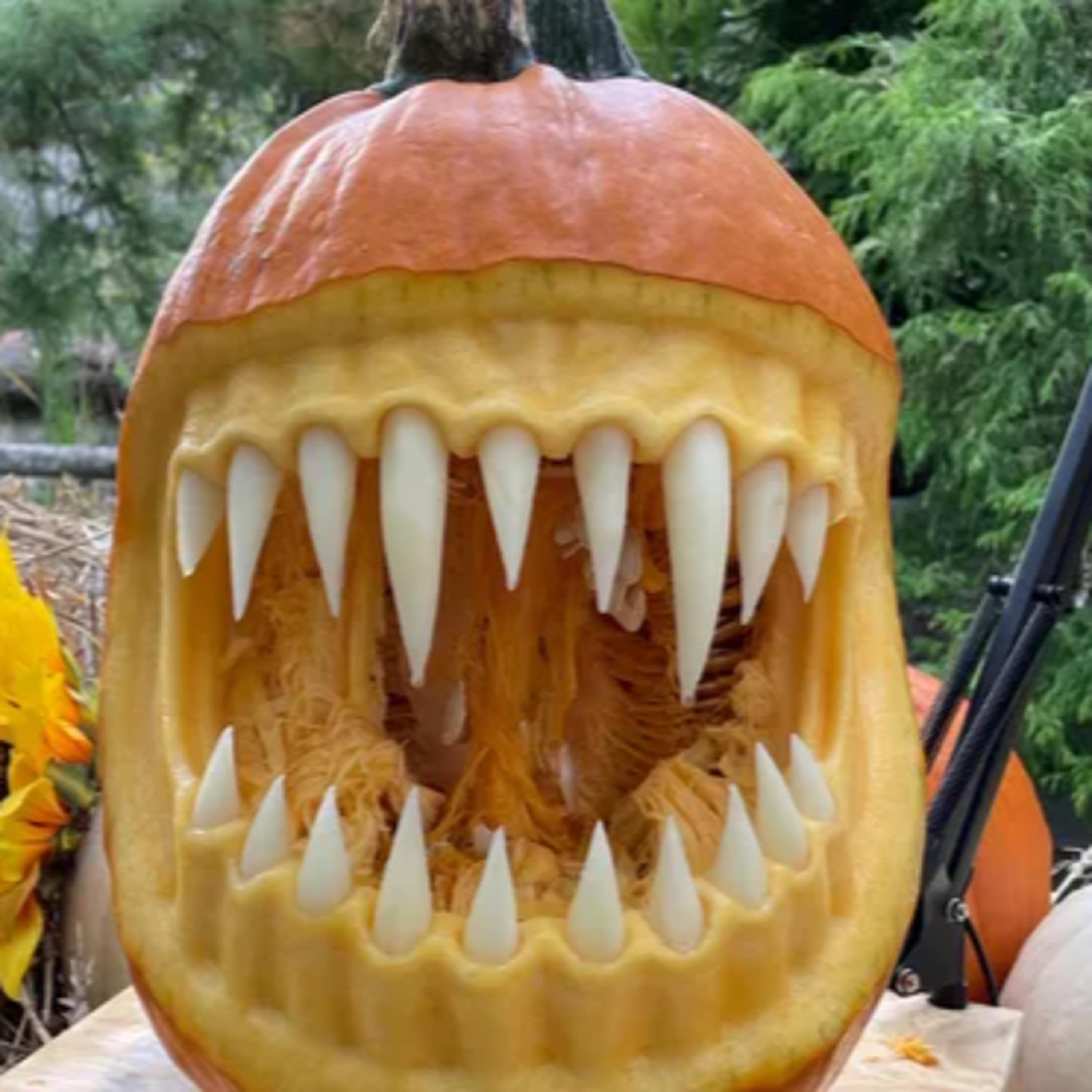 S03E38 Outrageous Pumpkins