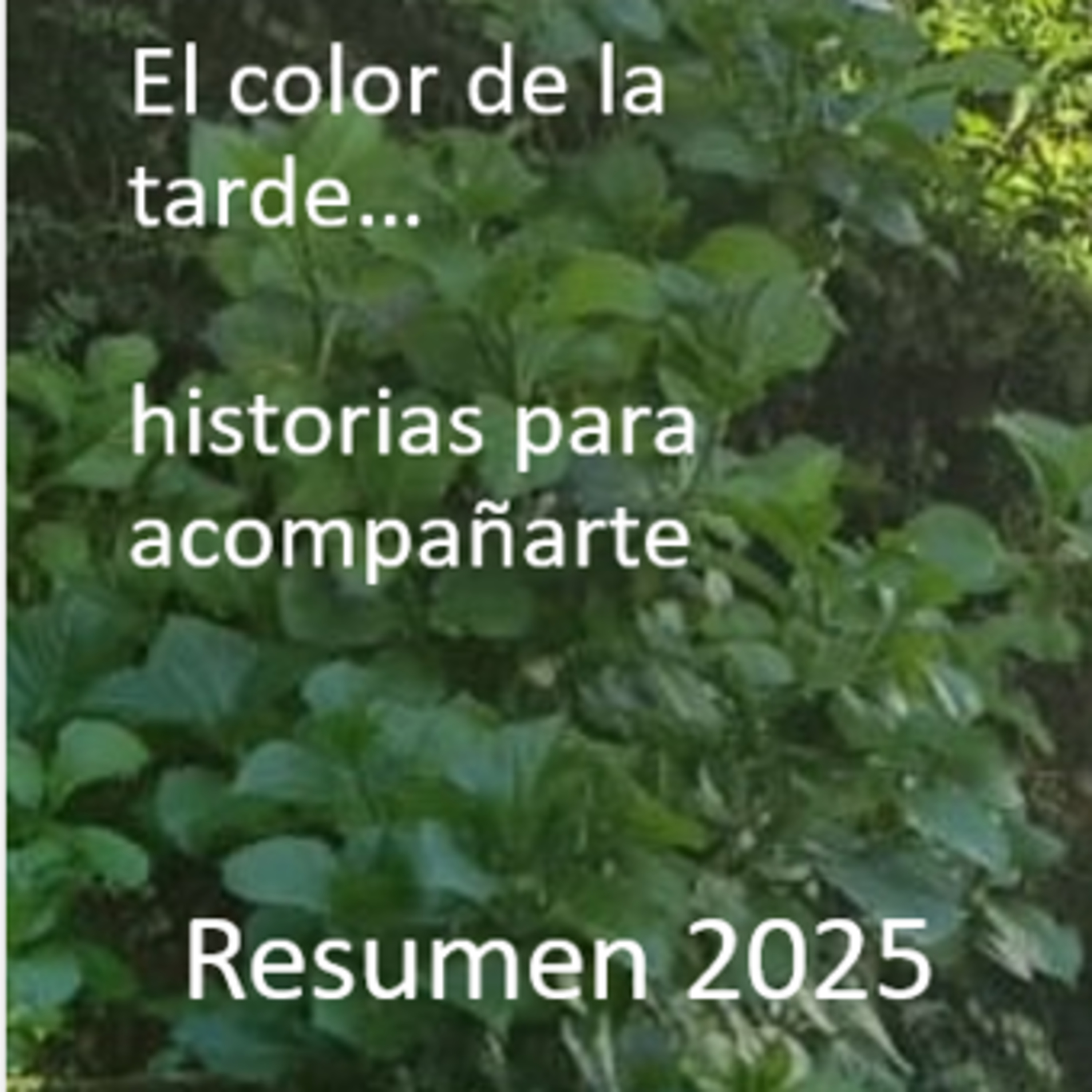 RESUMEN DEL 2025