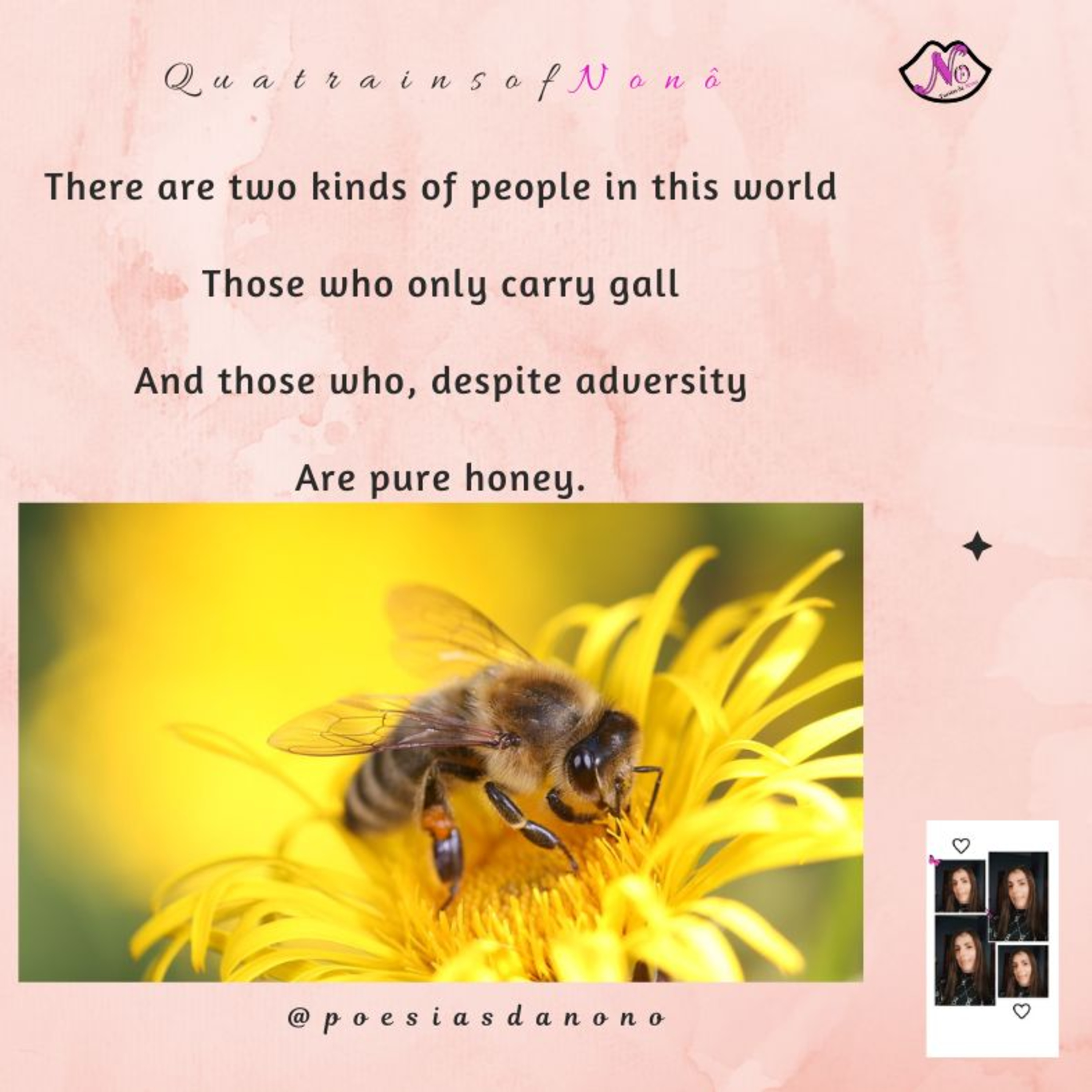 Poesias da Nonô - Nonô Poetry