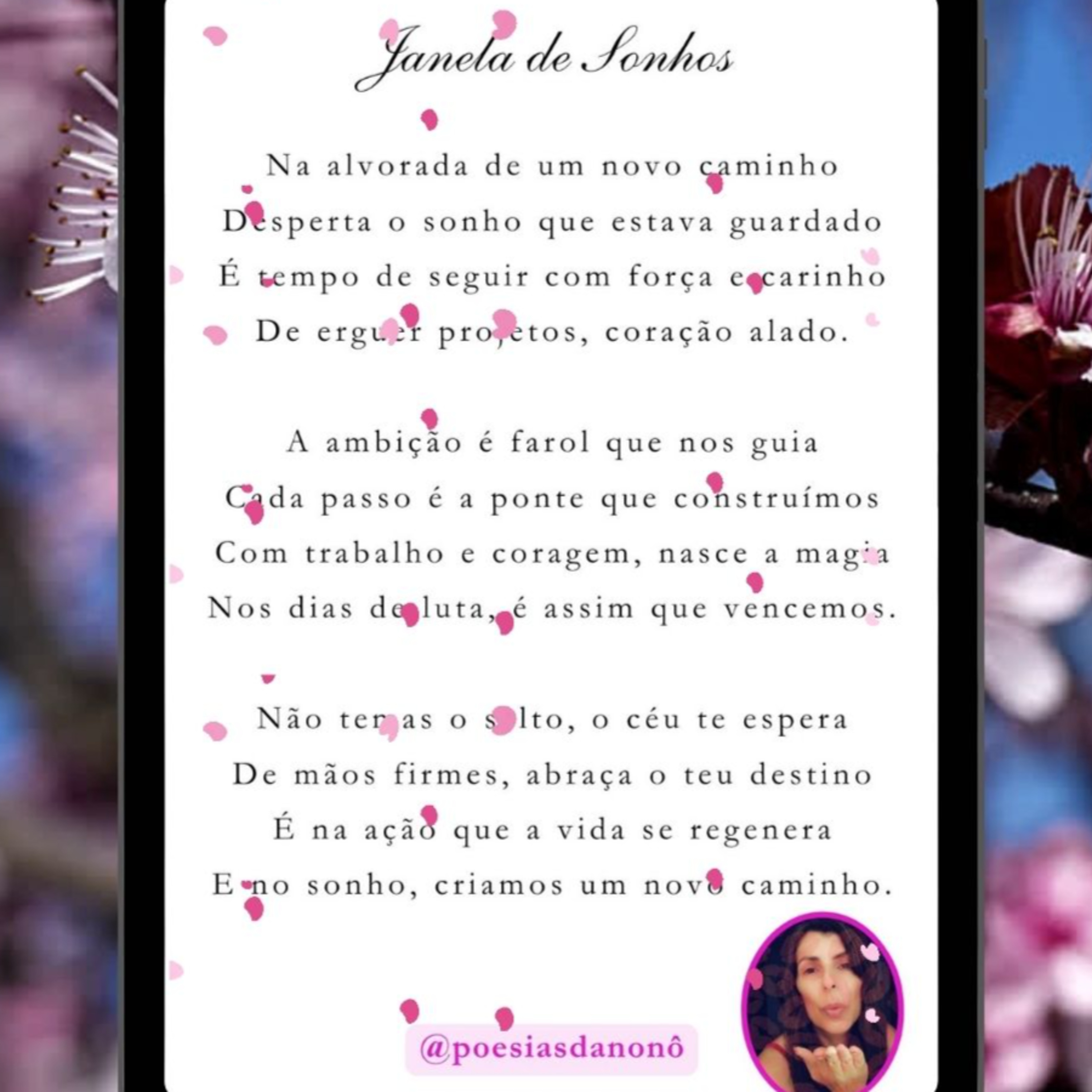 Poesias da Nonô - Nonô Poetry