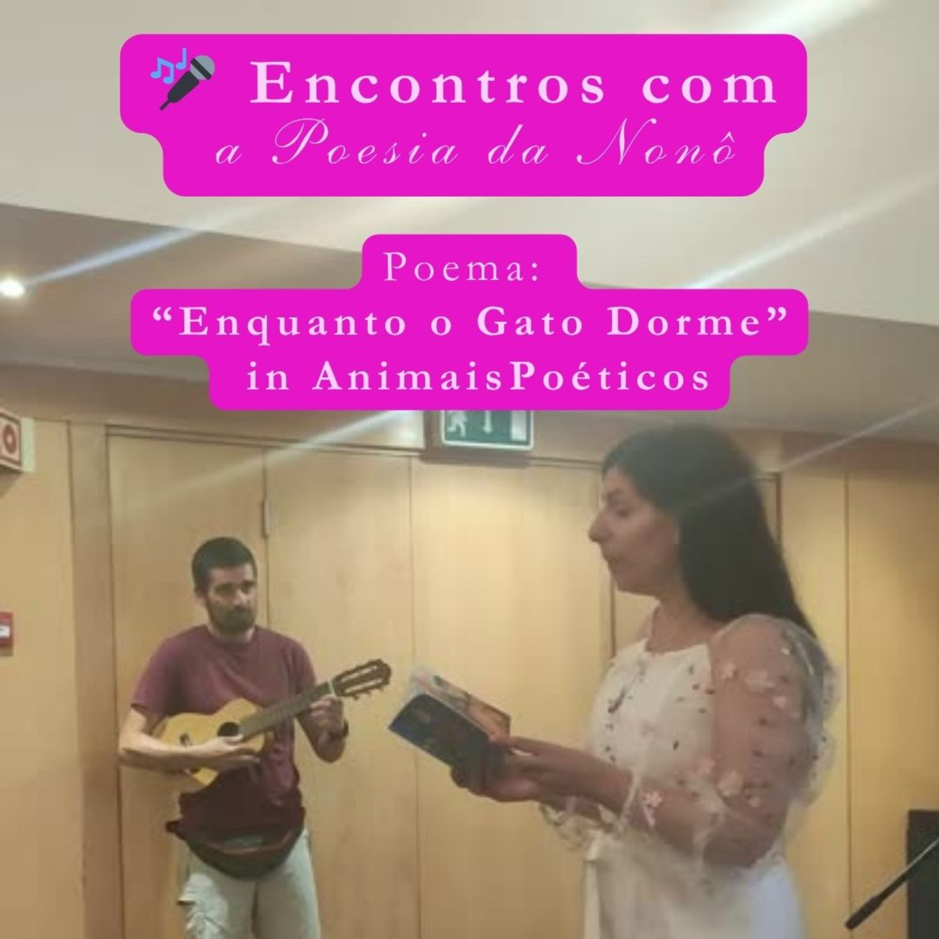 Poesias da Nonô - Nonô Poetry