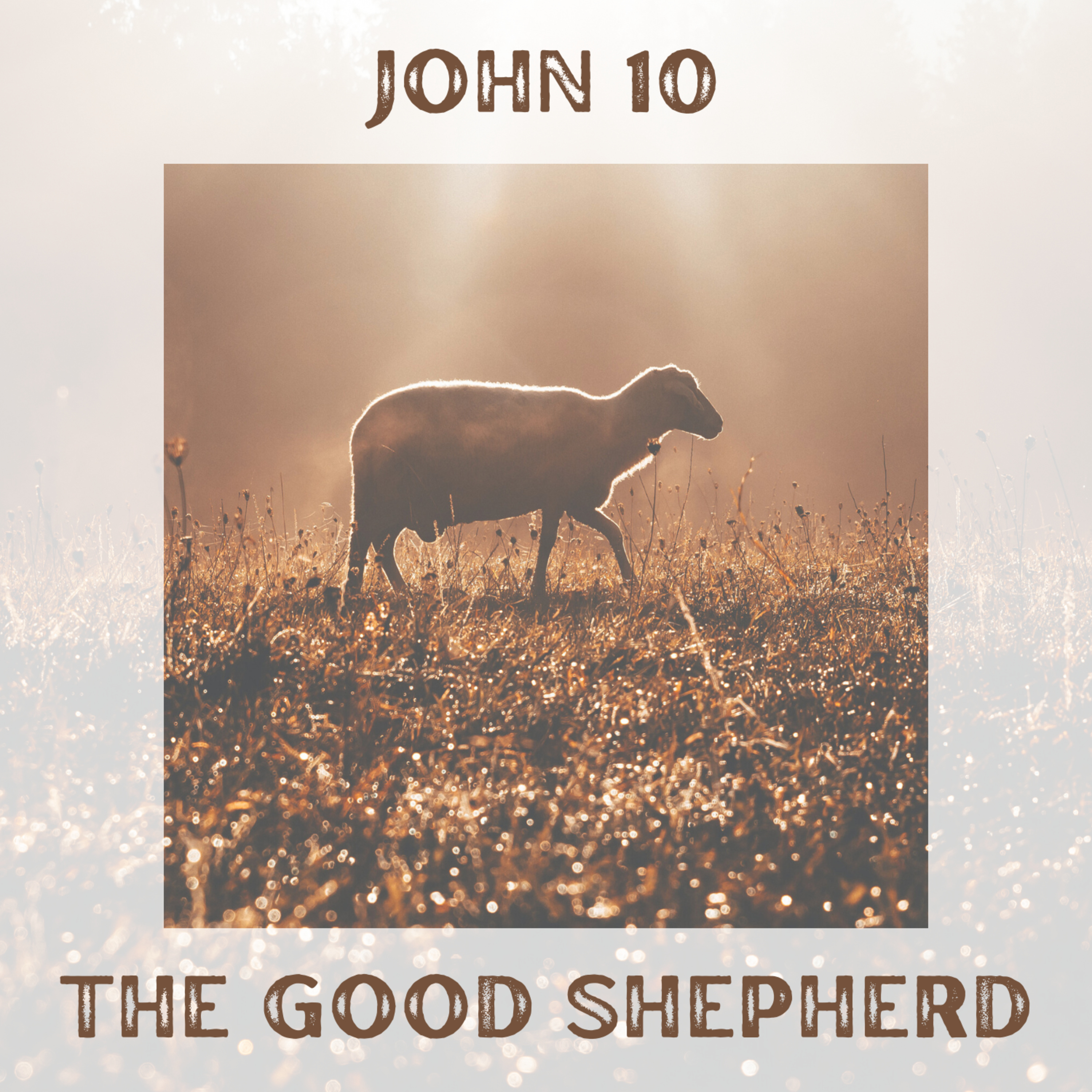 03-02-25 | John 10 | Pastor Michael Talley