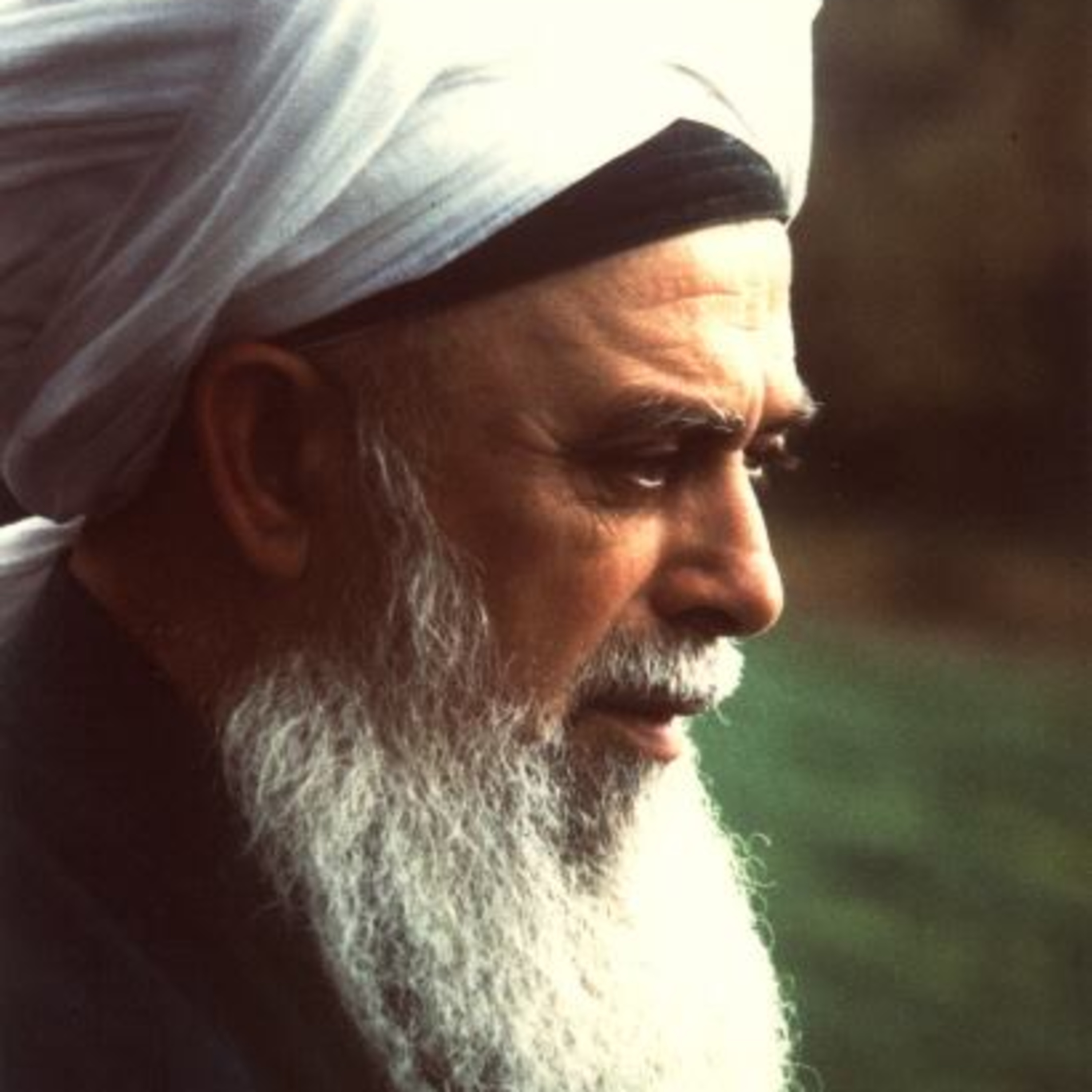 Surah Falaq and Nas- Sheykh Mawlana Nazim al Hakkani Hazratleri q.s episode artwork