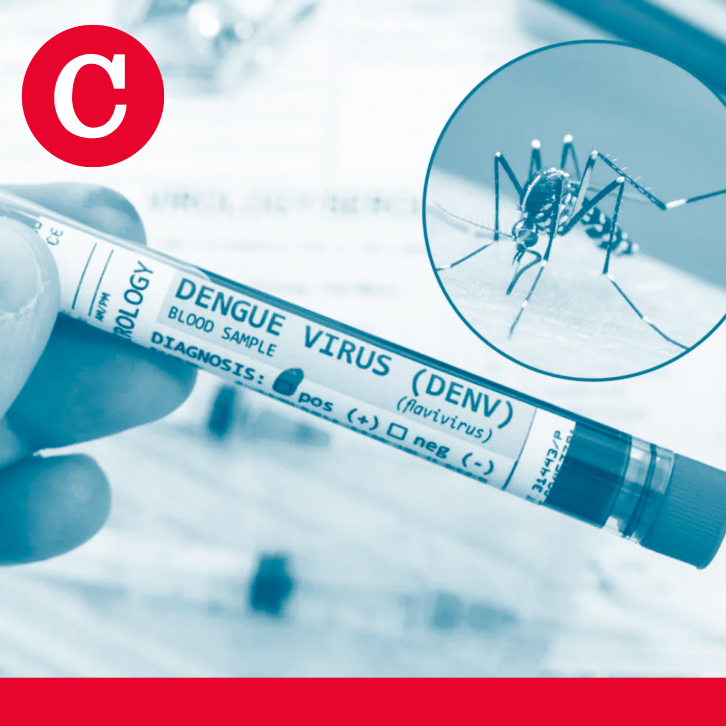 Episodio 604 | Casi 70 000 casos de dengue obligan al Minsa a “mirar” epidemia en Nicaragua episode artwork