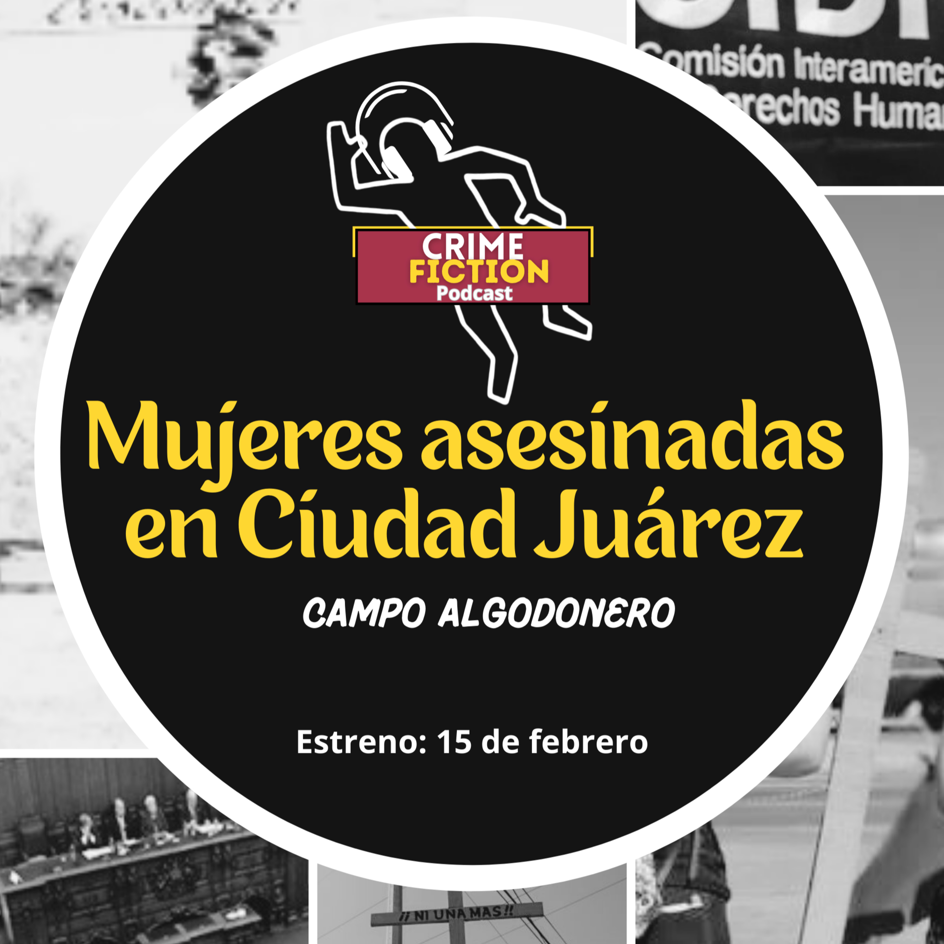 Las mujeres asesinadas en Ciudad Juárez, Campo Algodonero