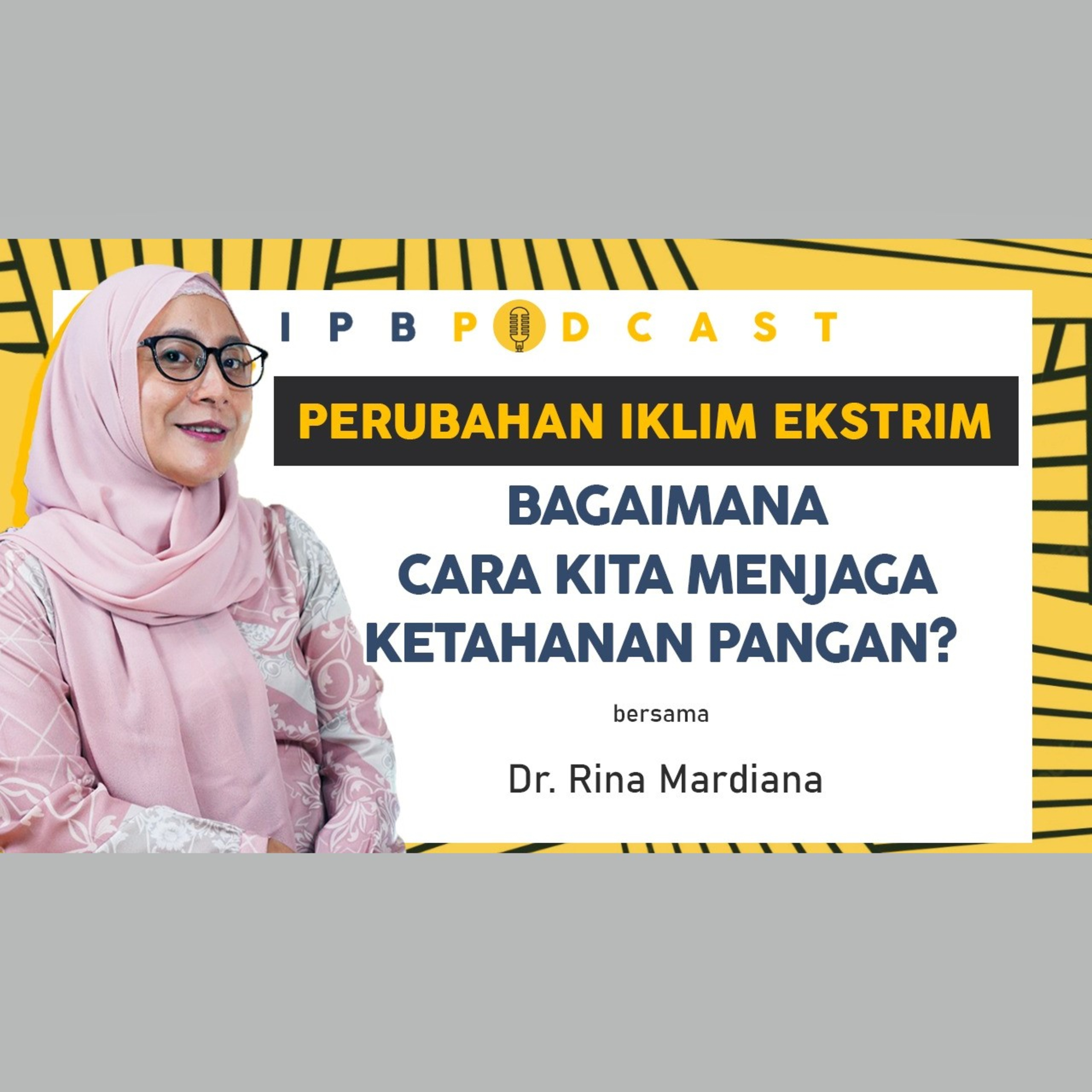 IPB Podcast