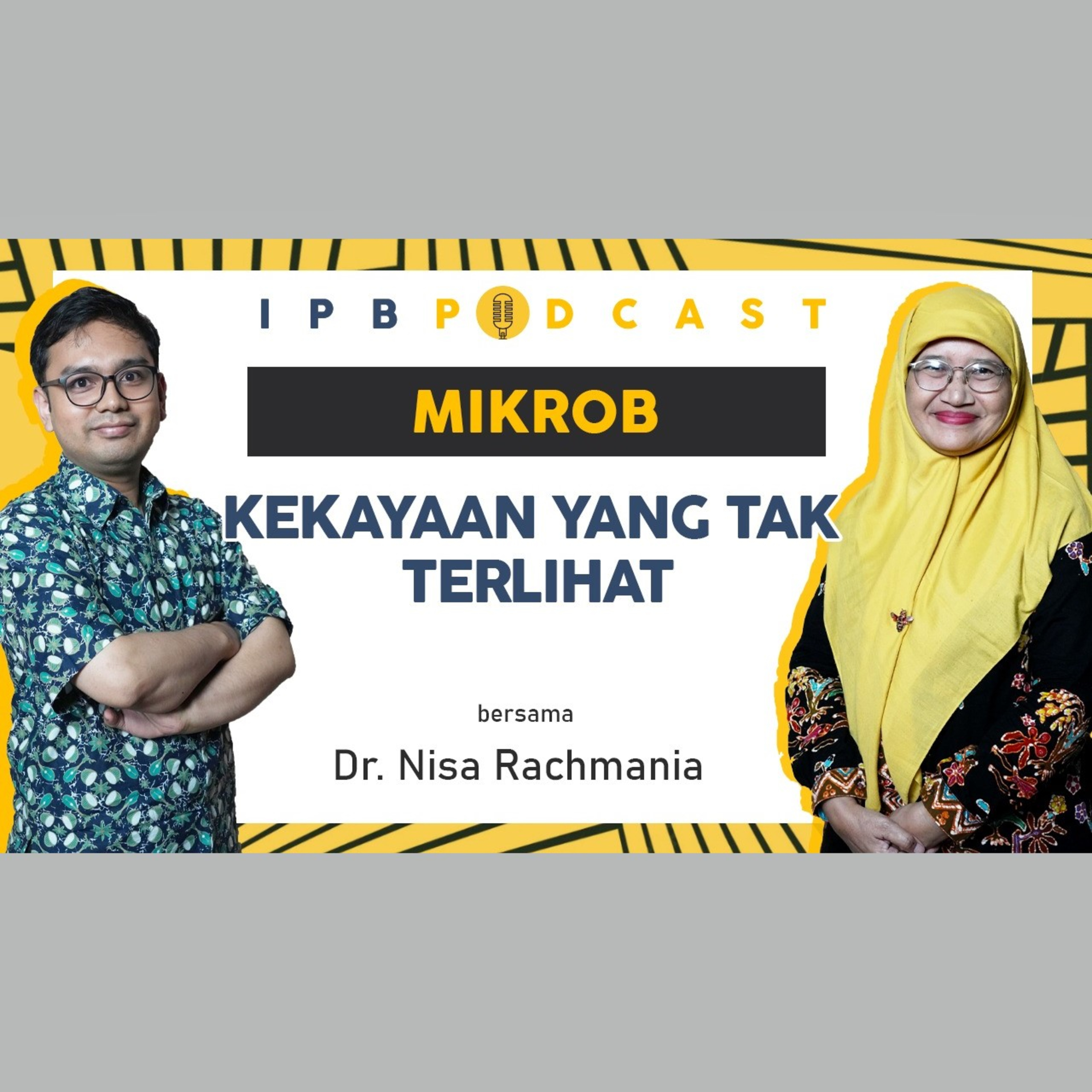 IPB Podcast