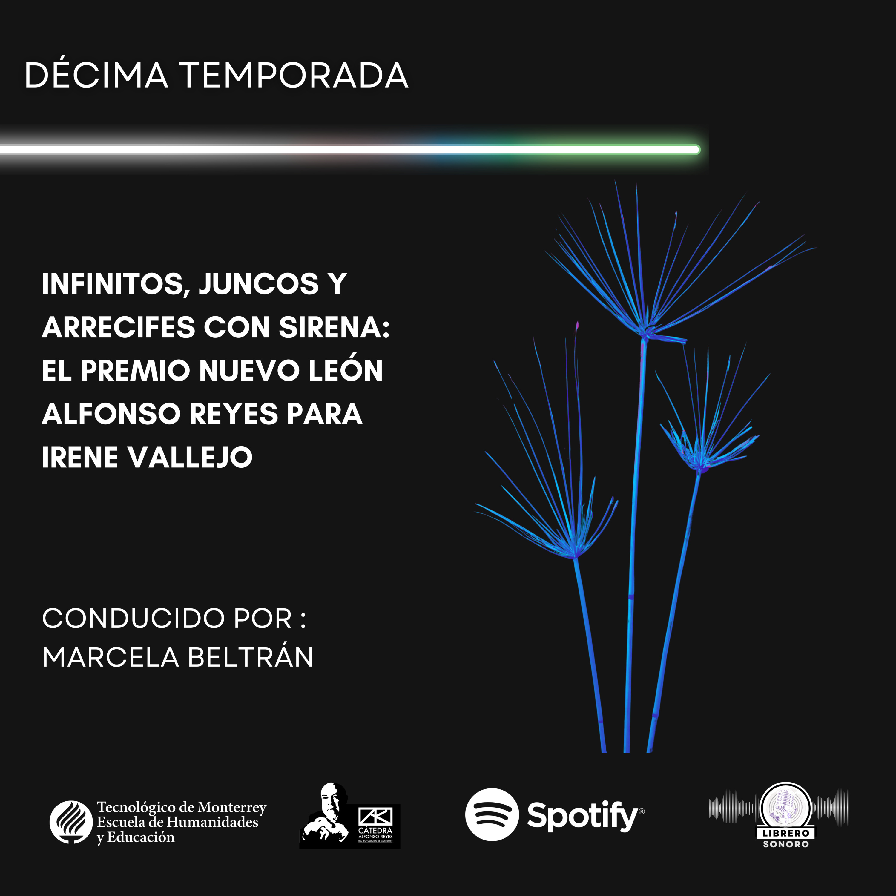 Infinitos, juncos y arrecifes con sirena: el Premio Nuevo León Alfonso Reyes para Irene Vallejo episode artwork