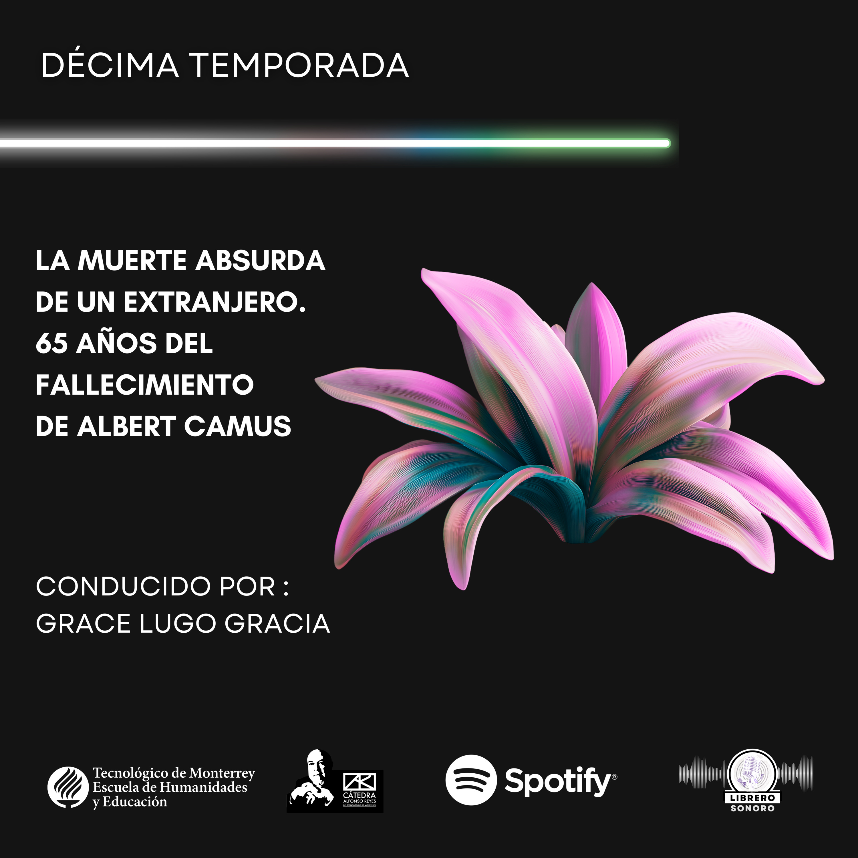 La muerte absurda de un extranjero. 65 años del fallecimiento de Albert Camus. episode artwork