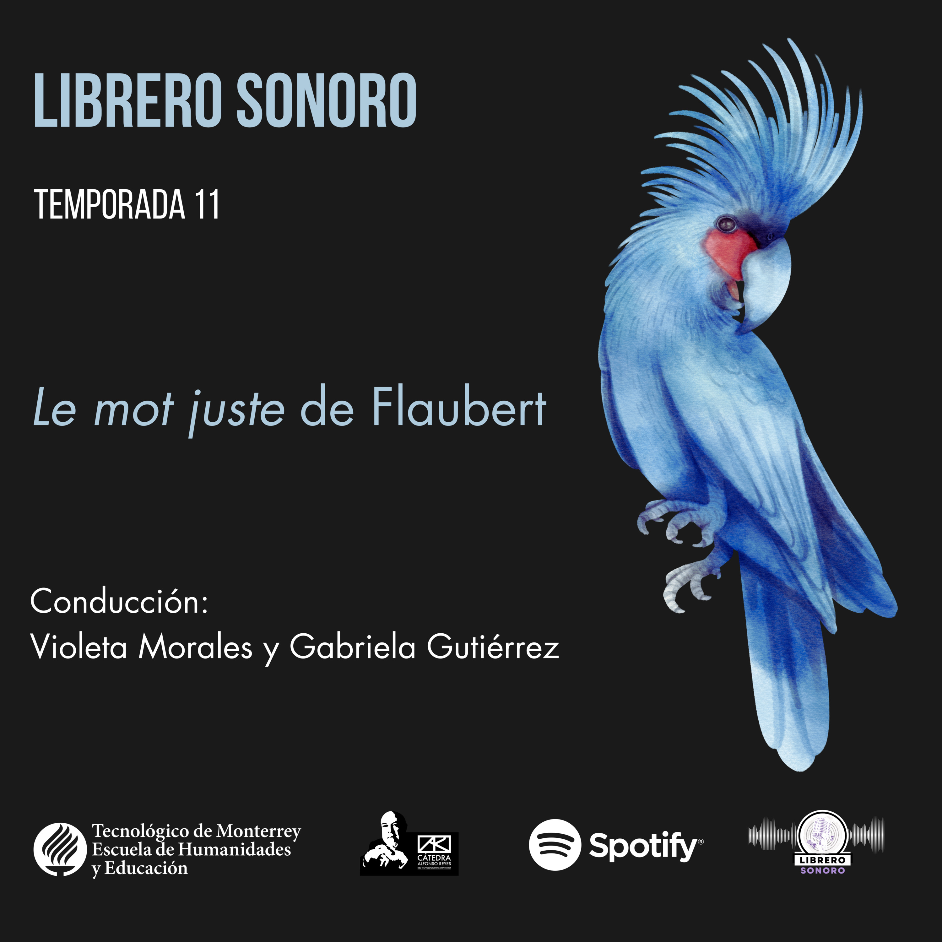 Librero Sonoro