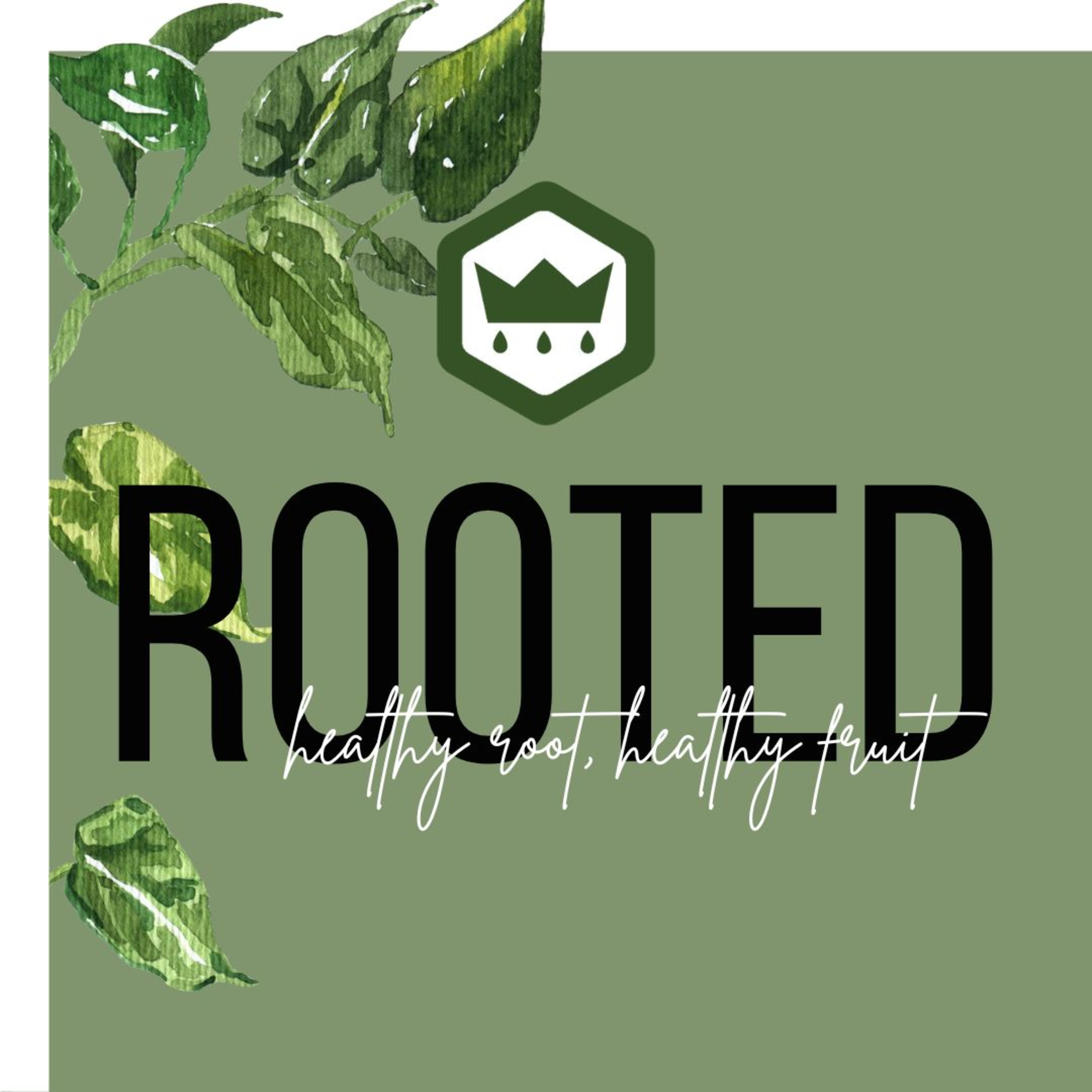 ROOTED: An Encounter with God in the Area of Generosity  episode artwork