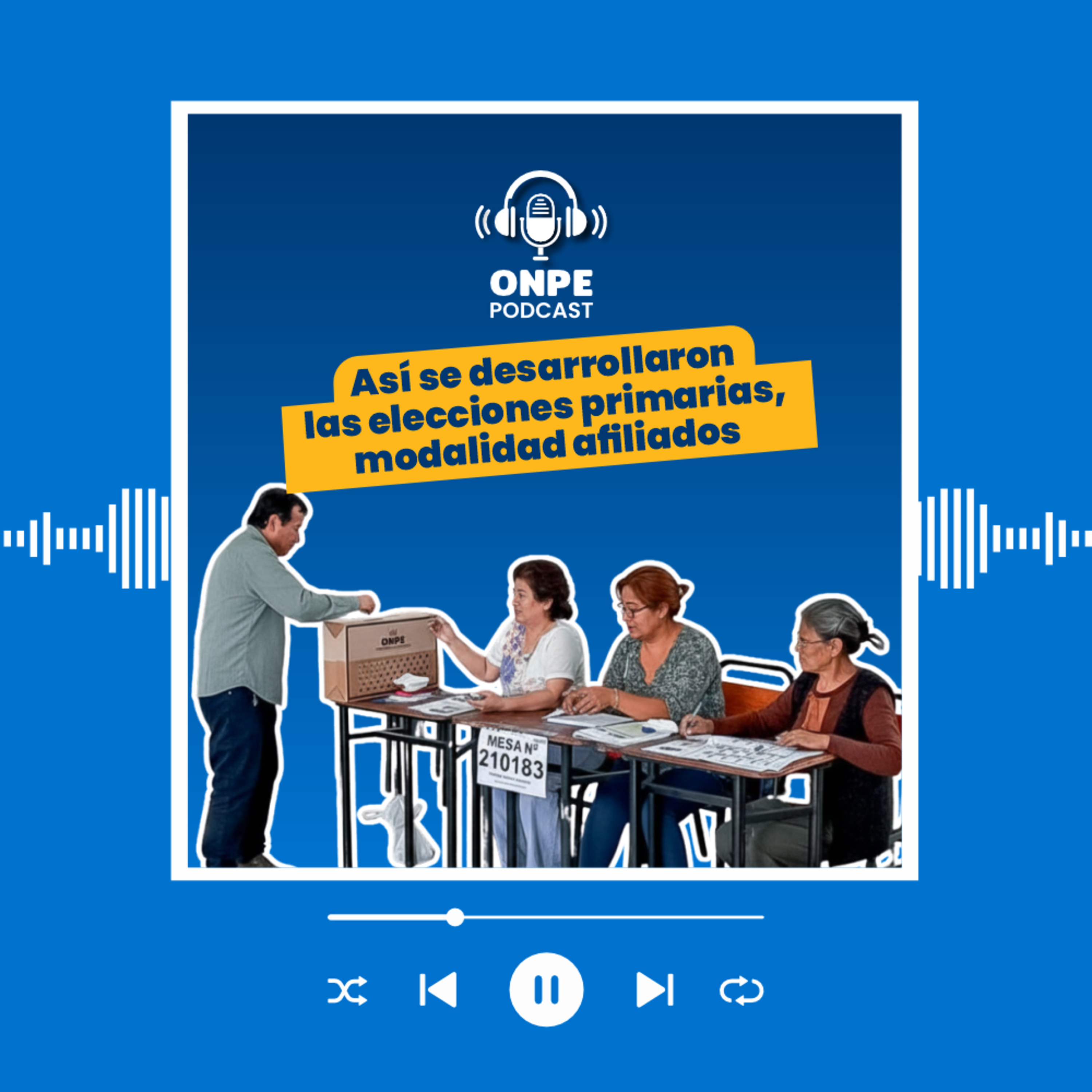 Así se desarrollaron las elecciones primarias, modalidad afiliados episode artwork