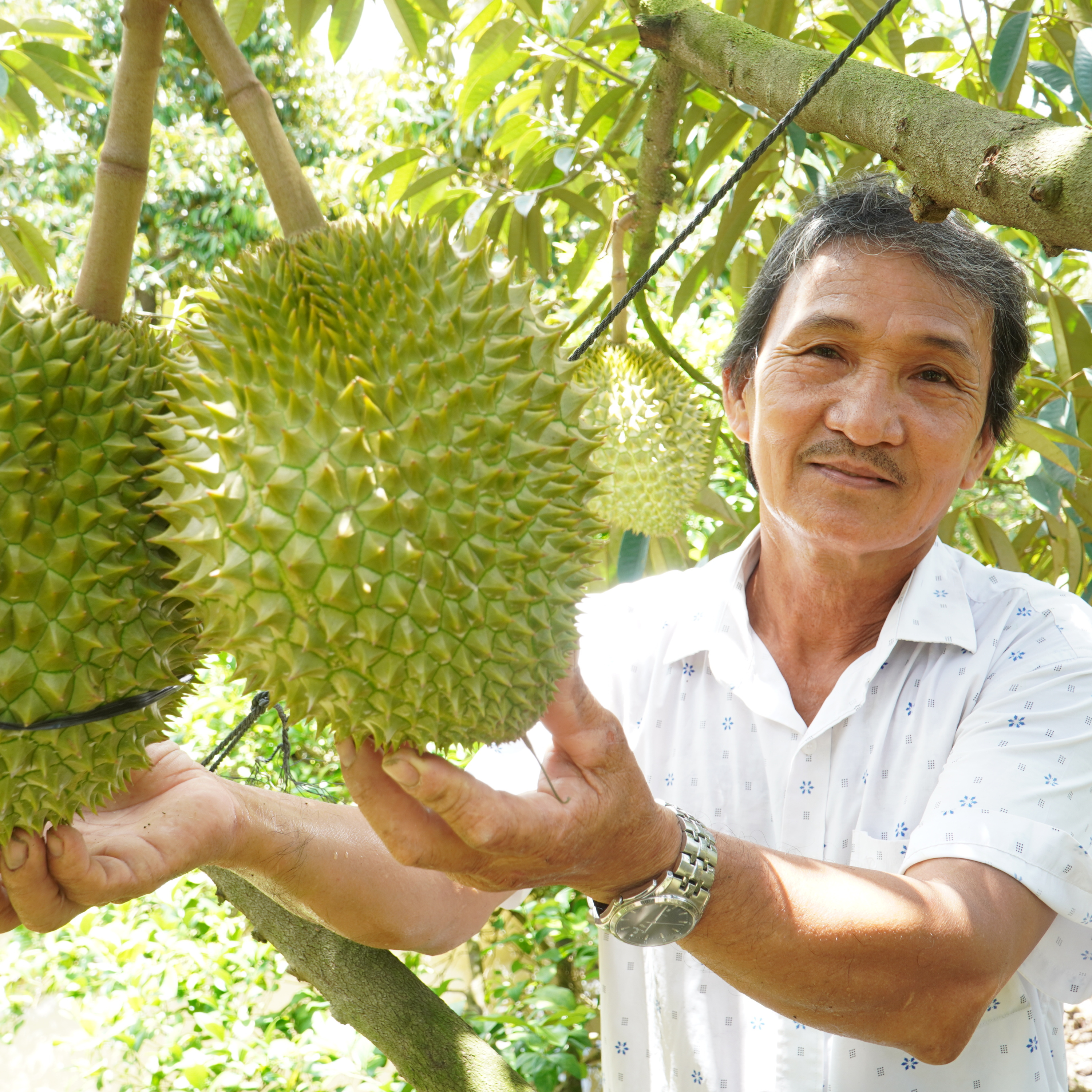 Chuyện Mekong