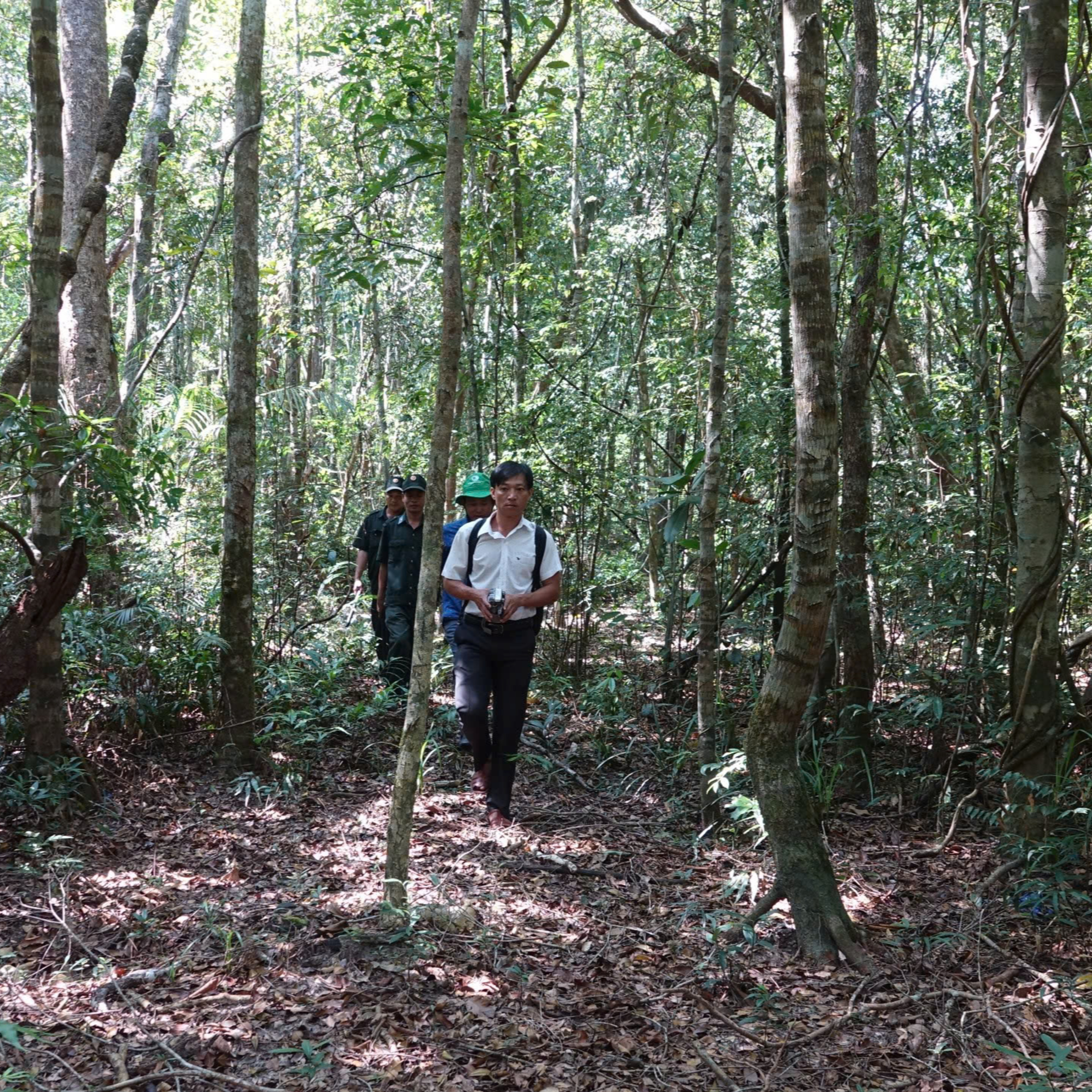 Chuyện Mekong