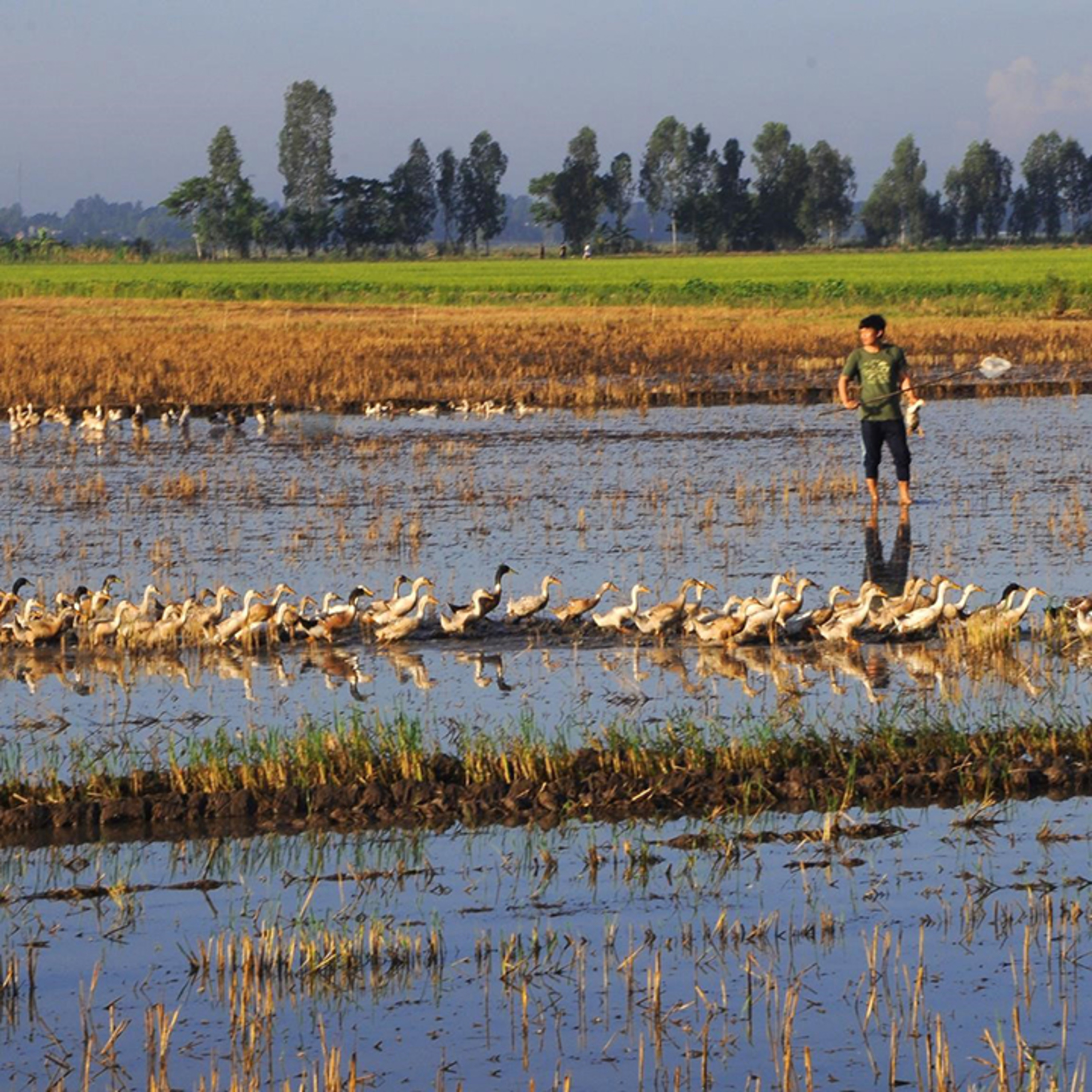 Chuyện Mekong