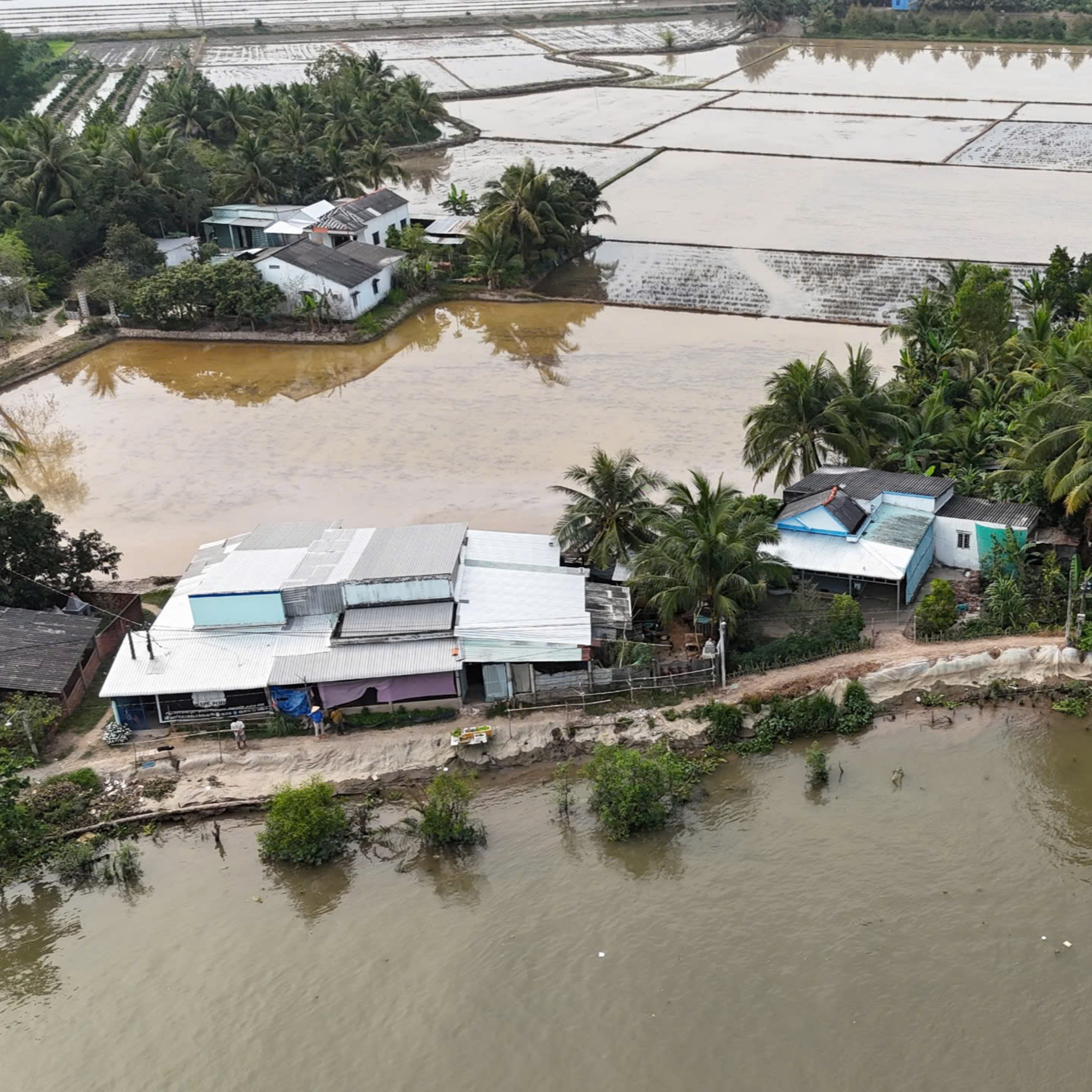 Chuyện Mekong