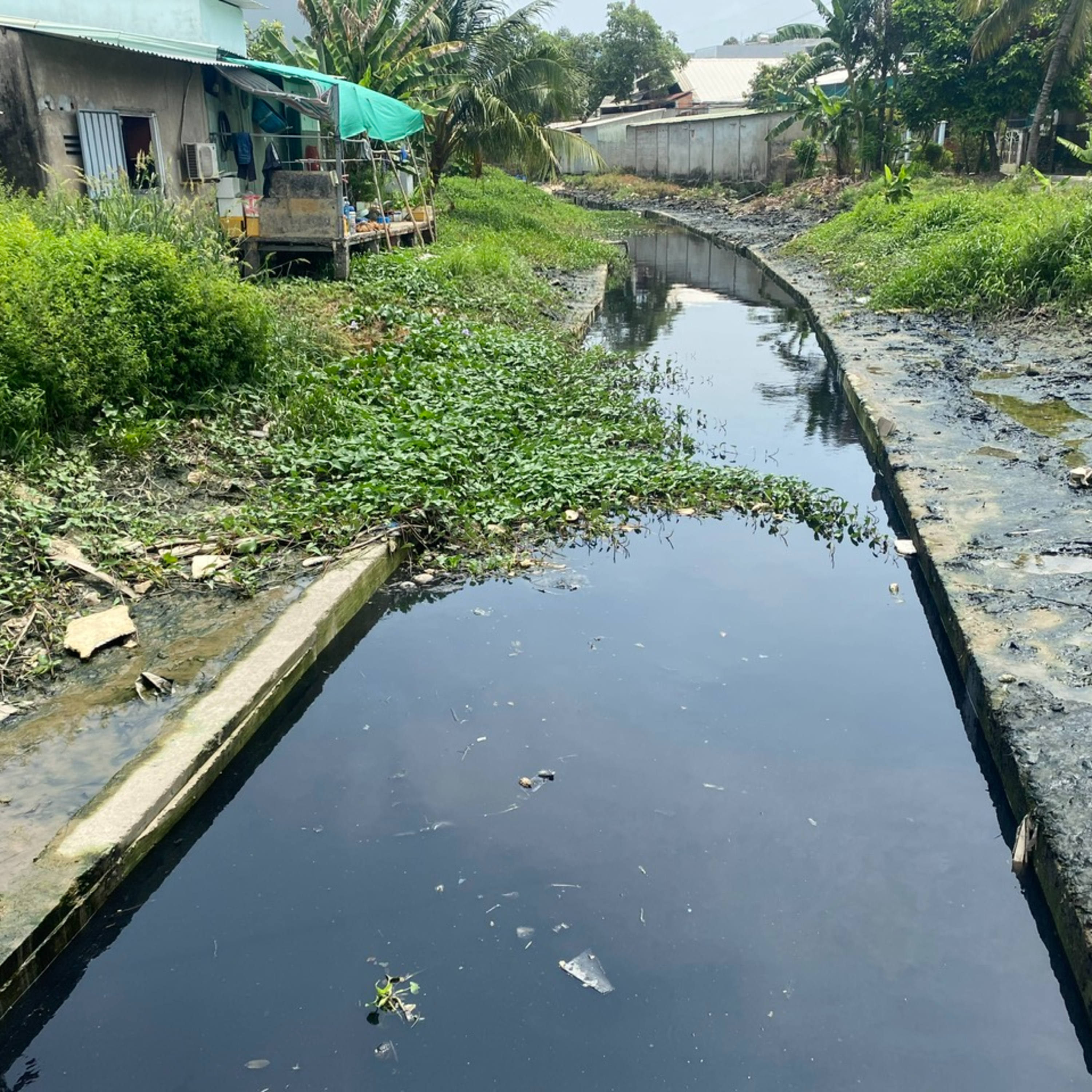 Chuyện Mekong
