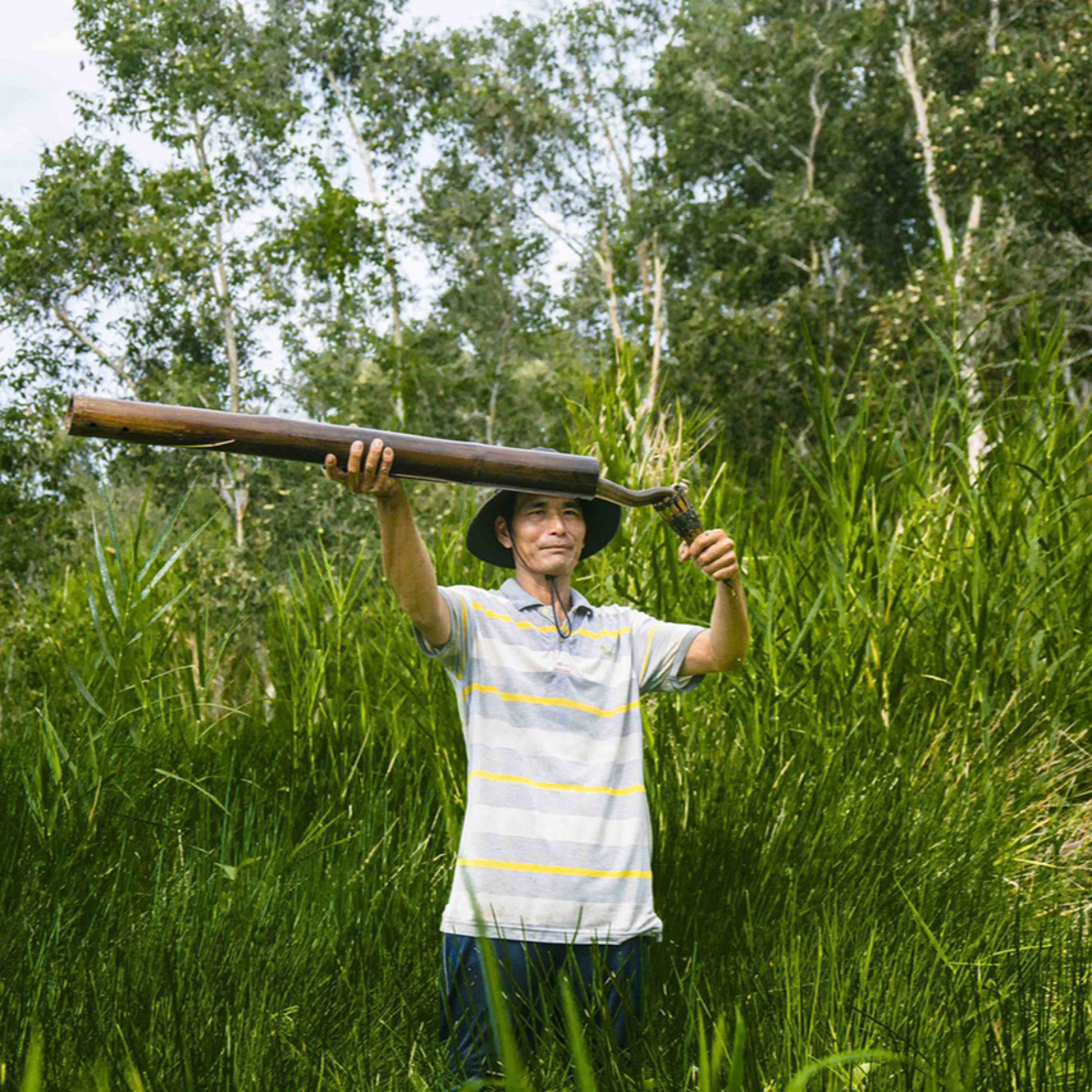 Người cũ cảnh xưa: Chim trời, cá nước, rau đồng Bài 5: Đặt trúm lươn rừng U Minh Người cũ cảnh xưa: Chim trời, cá nước, rau đồng Bài 5: Đặt trúm lươn rừng U Minh