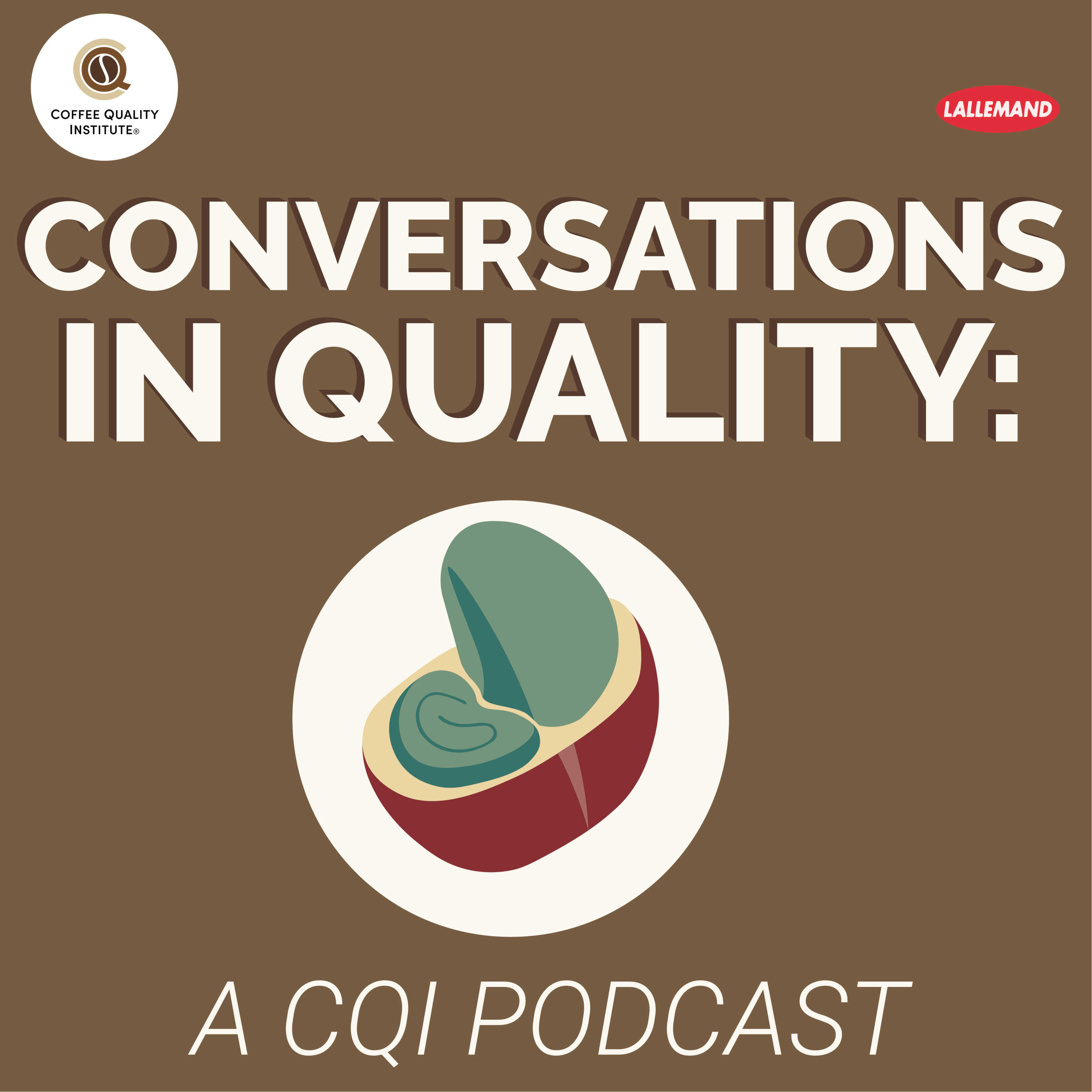 Conversations in Quality: A CQI Podcast - Felipe Sardi