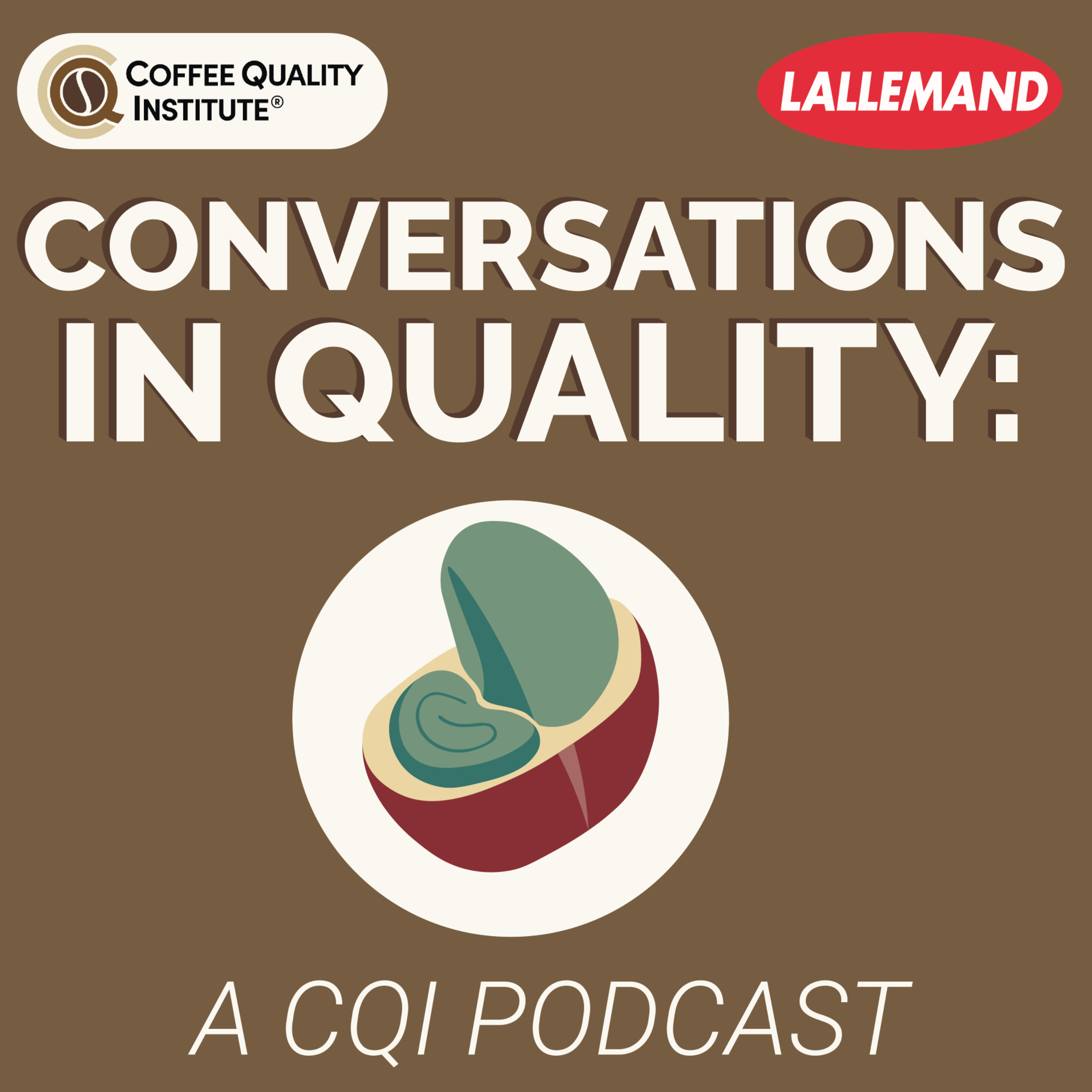 Conversations in Quality: A CQI Podcast - Luiz Roberto Saldanha