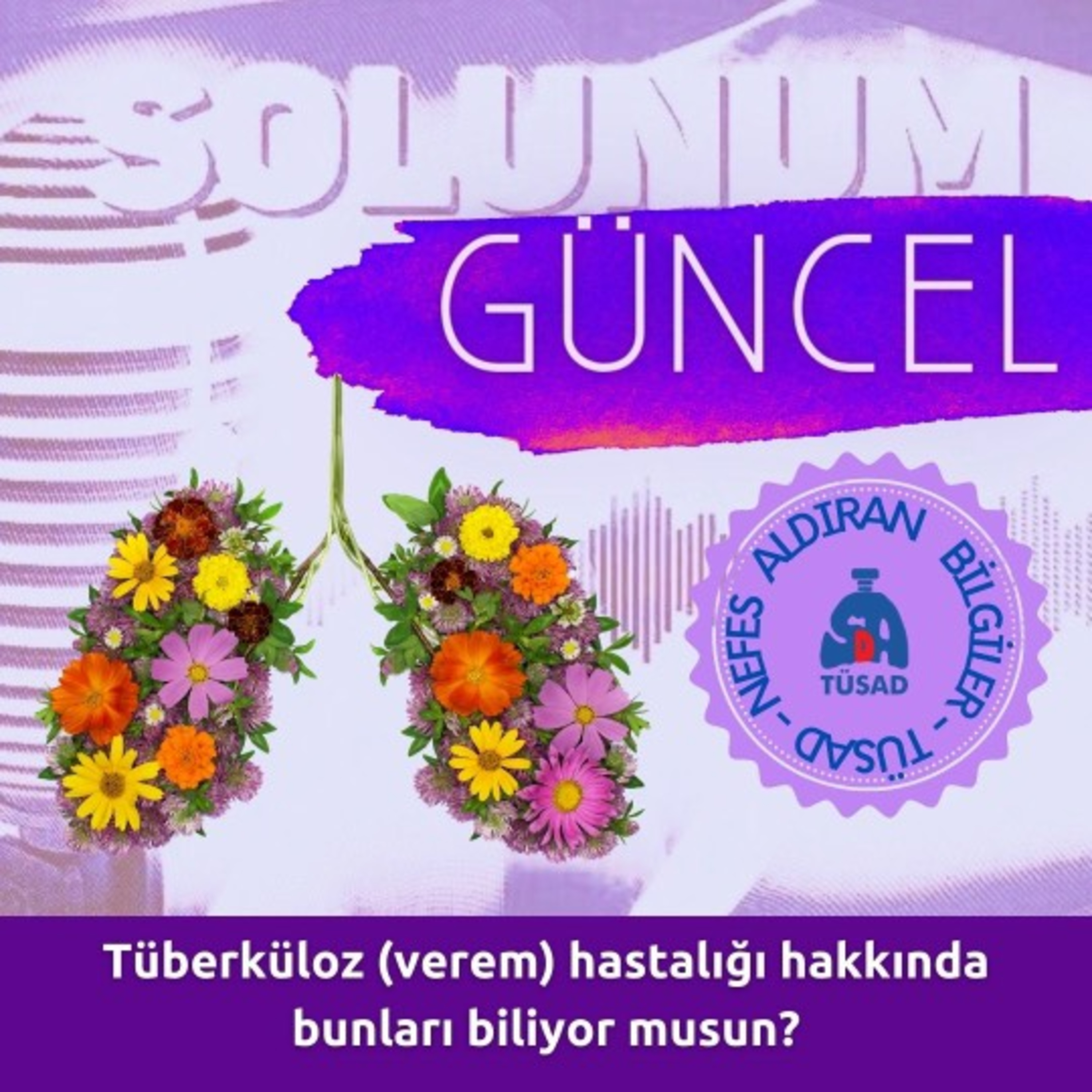 SolunumTV