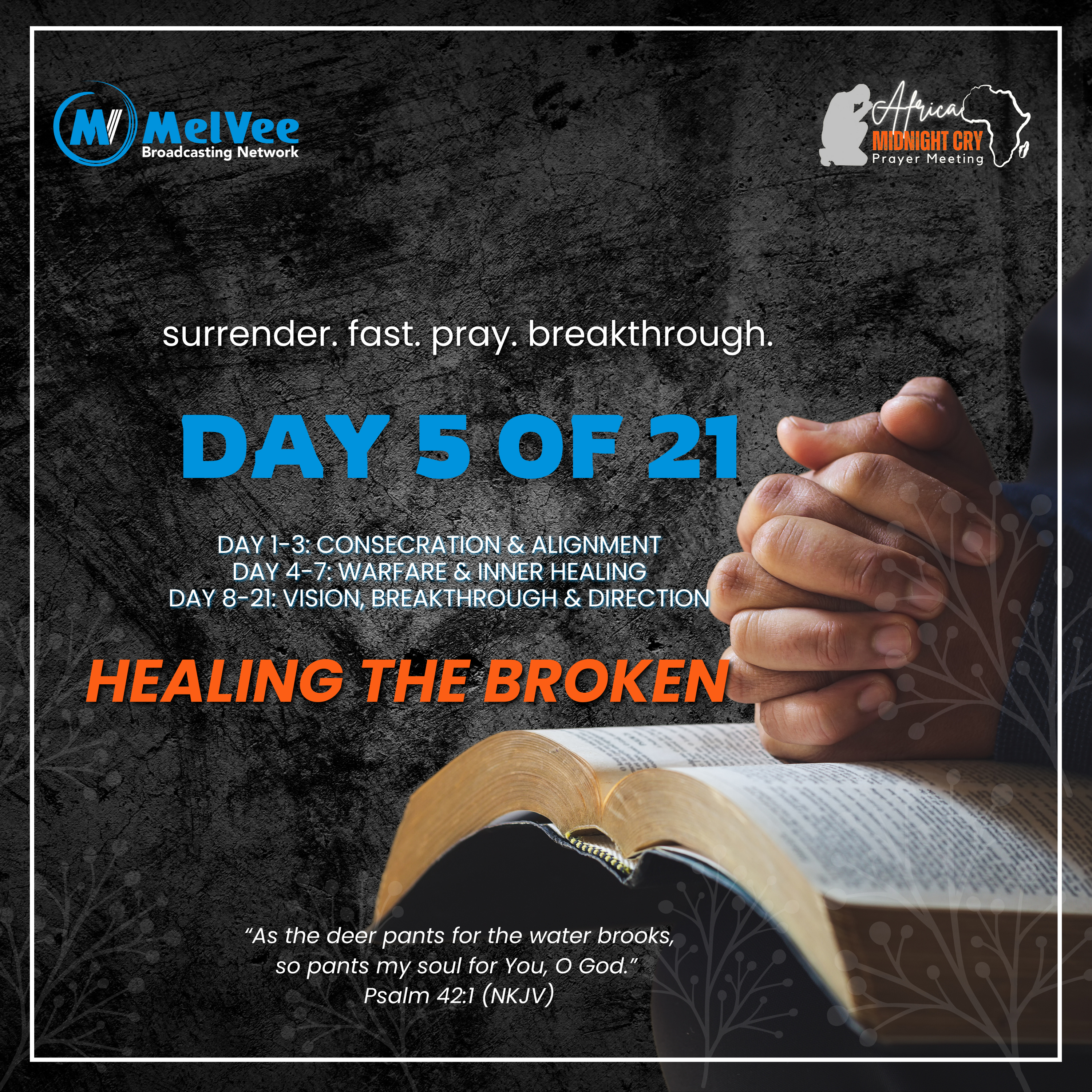 MelVee Broadcasting Network