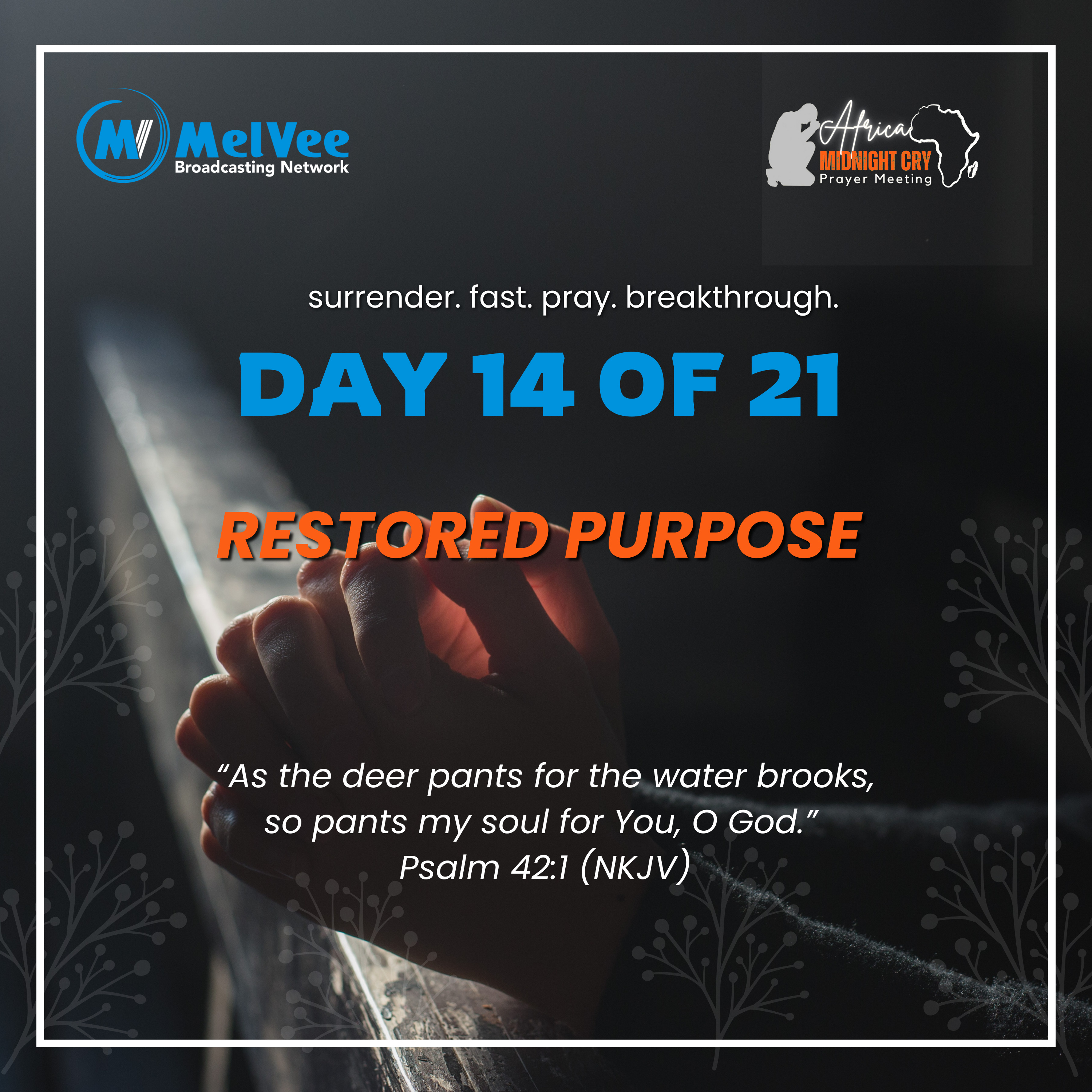 MelVee Broadcasting Network