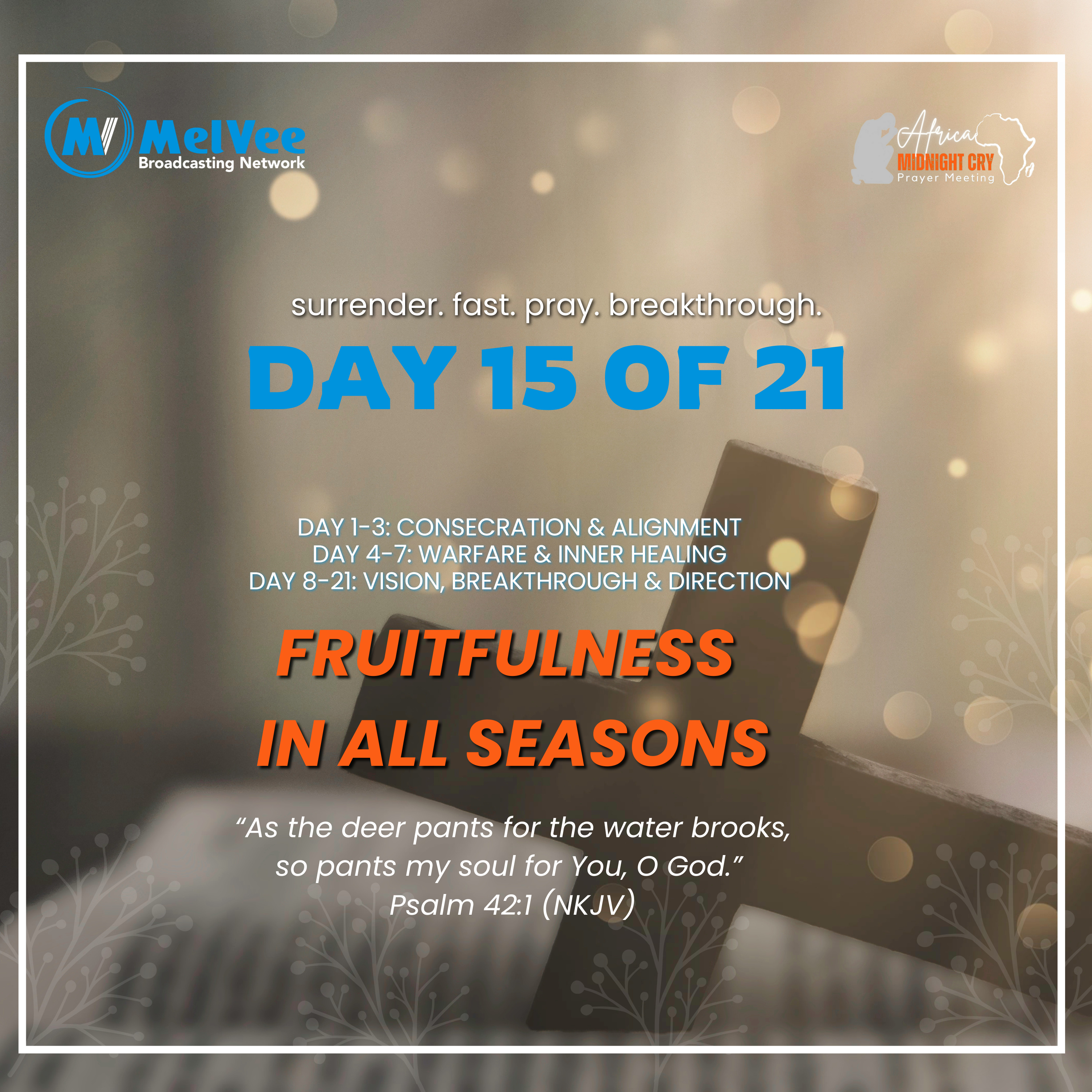 MelVee Broadcasting Network