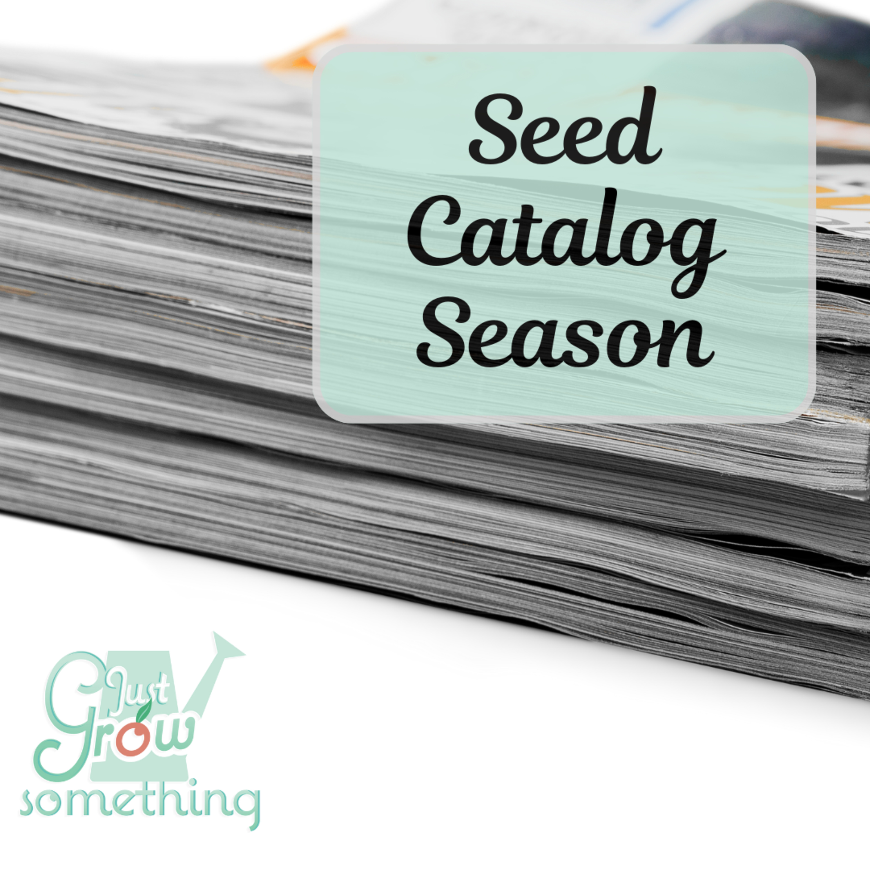 Seed Catalog Season - Ep. 280 Seed Catalog Season - Ep. 280