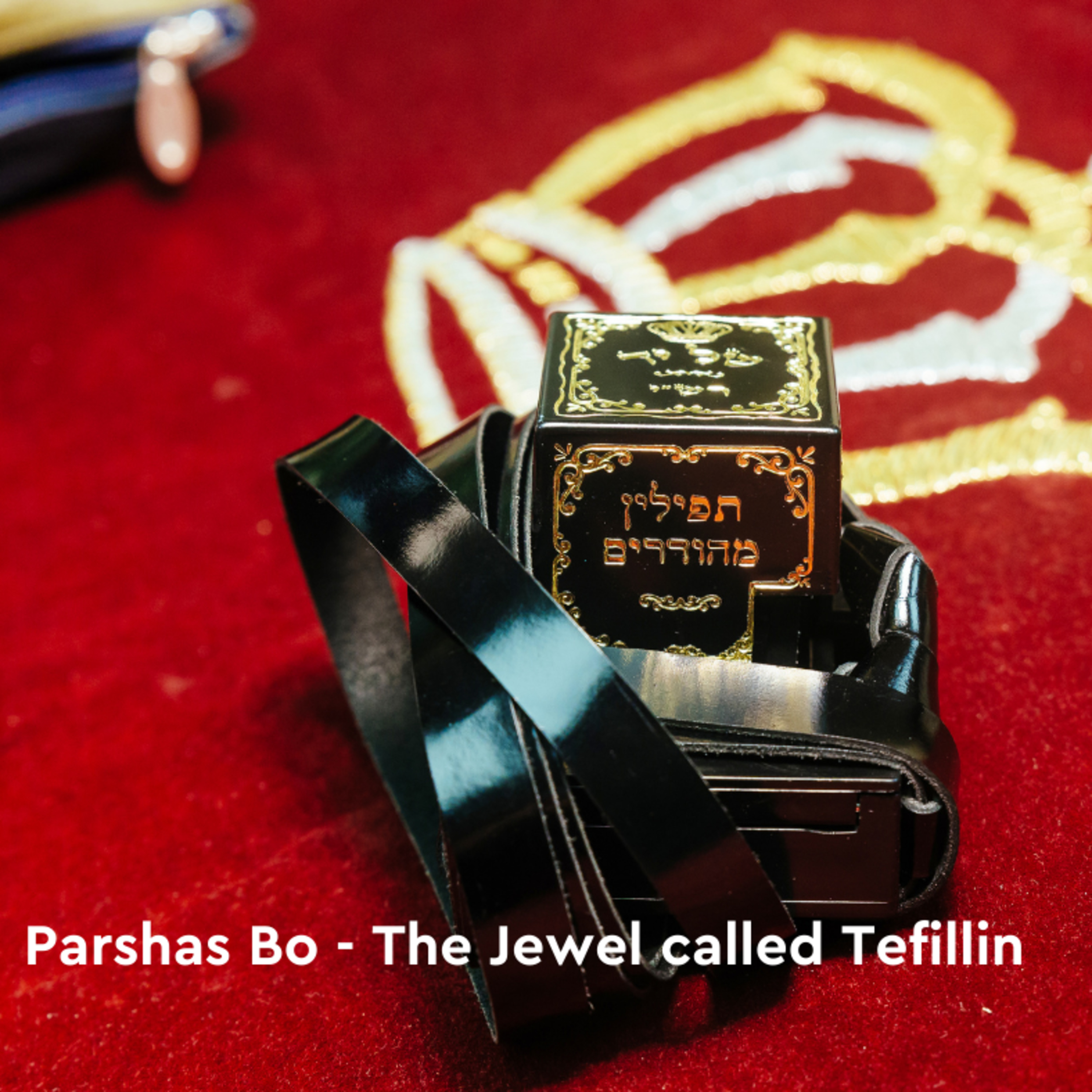 The Thinking Jewish Podcast