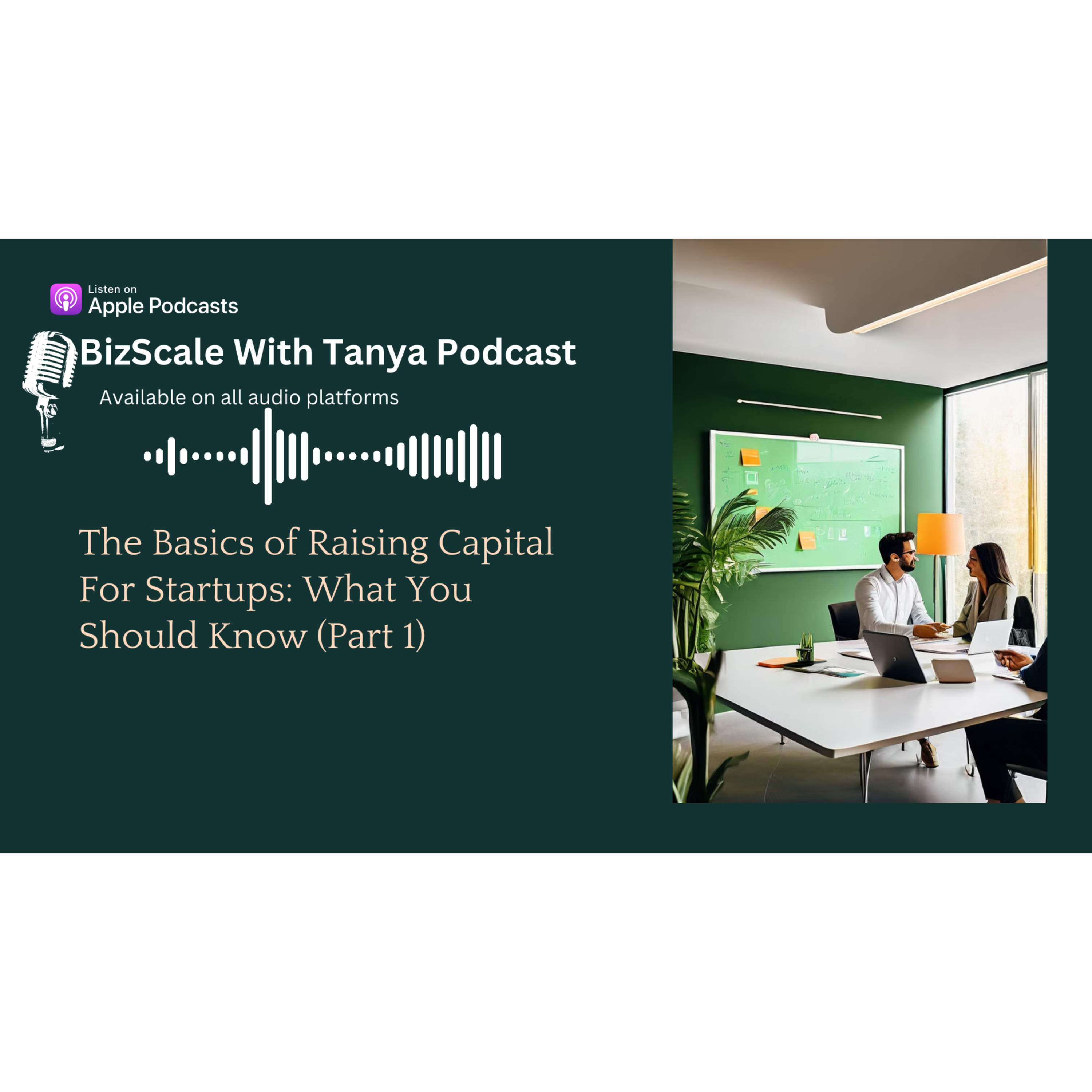 Espresso Shot : The Basics of Raising Capital For Startup : What You Should Know (Part 1) episode artwork