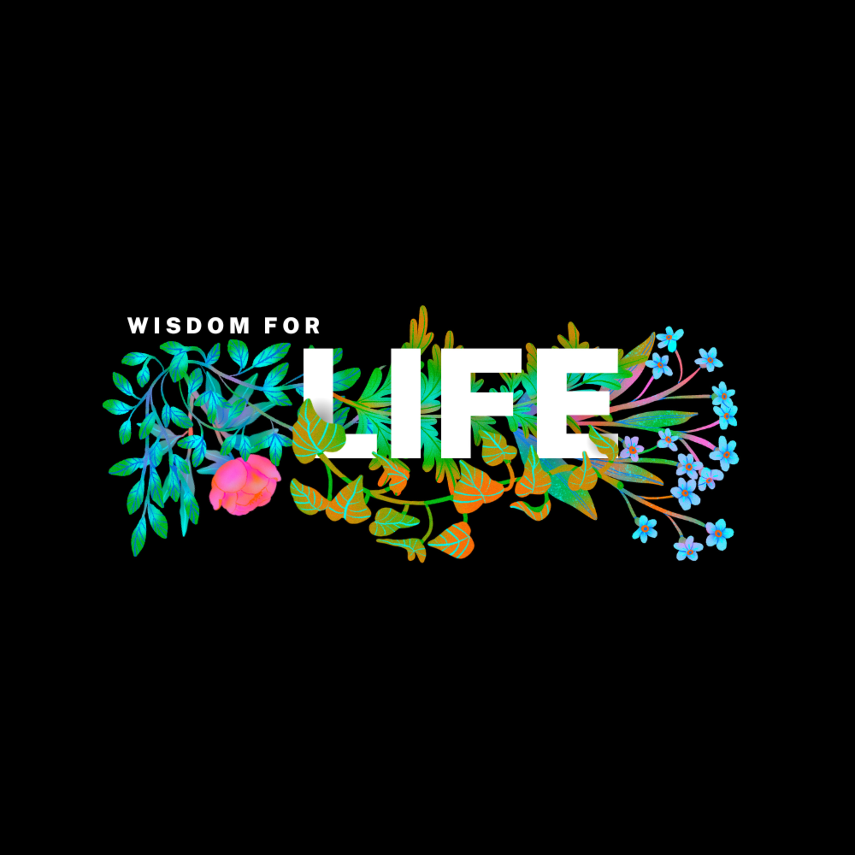 Psalm 127:1-2 & Matt 6:19-34 - Working Wisely episode artwork