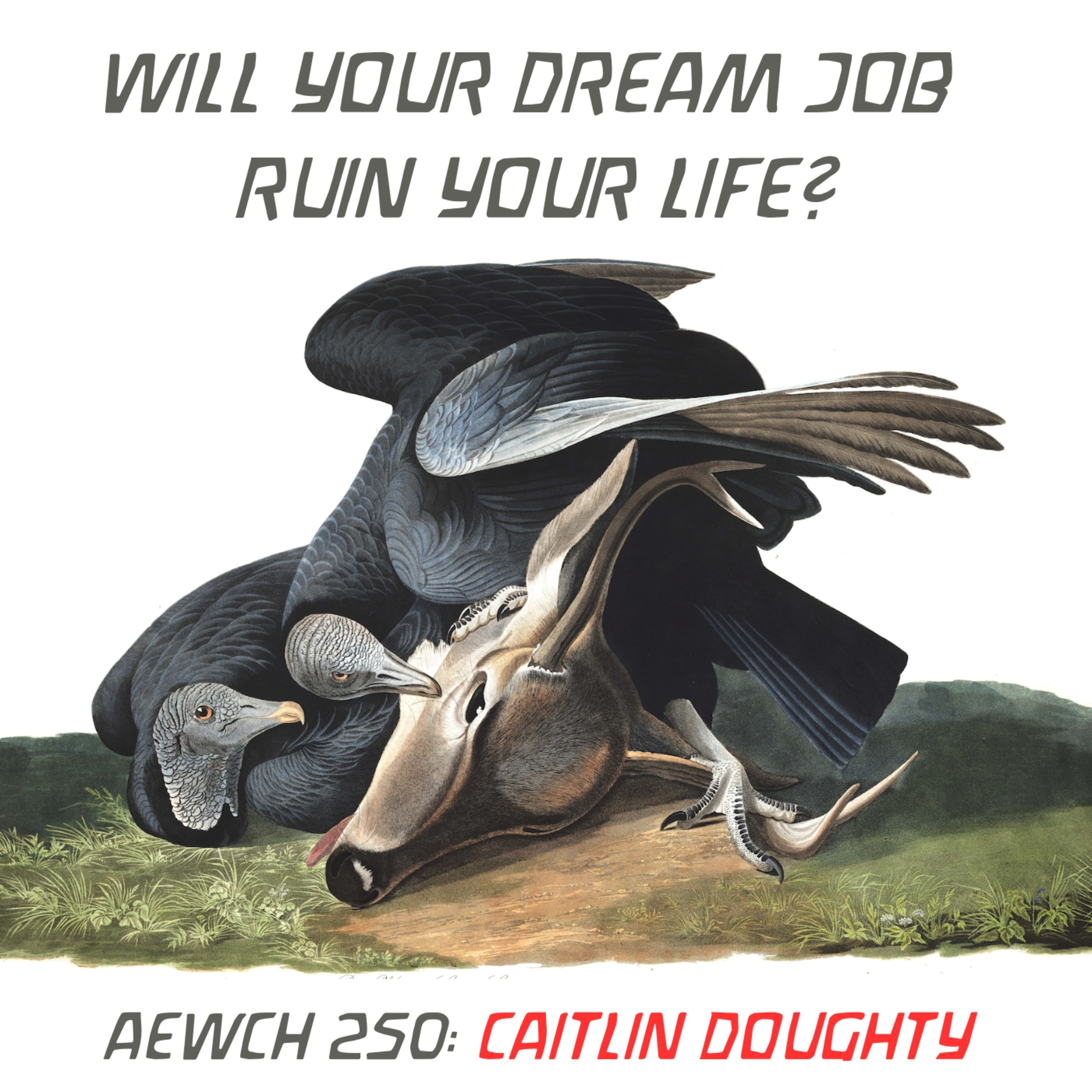 AEWCH 250: CAITLIN DOUGHTY - WILL YOUR DREAM JOB RUIN YOUR LIFE?