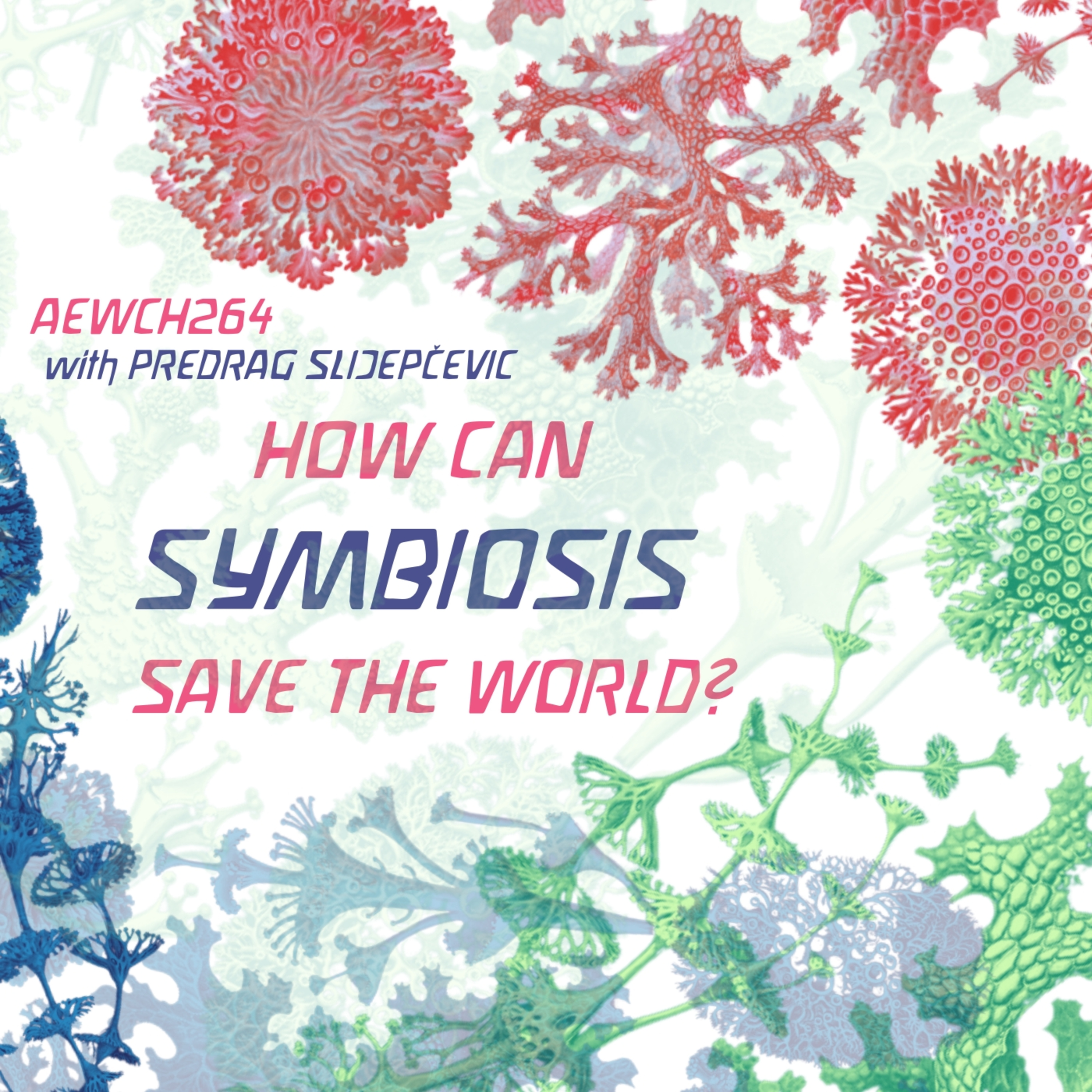 AEWCH 264: PREDRAG SLIJEPČEVIC on HOW CAN SYMBIOSIS SAVE THE WORLD?