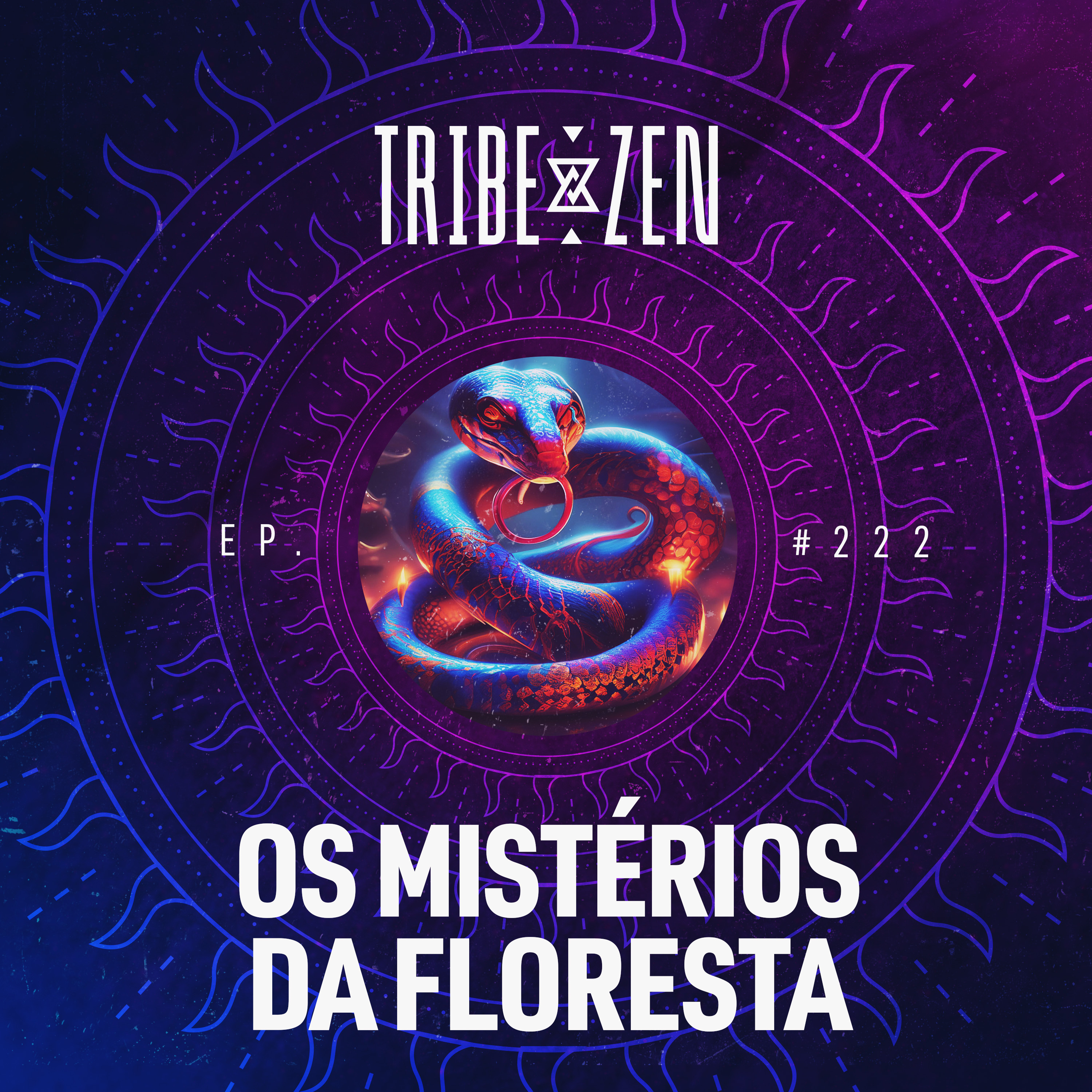 #222 - Mistérios da Floresta (com Pajé Pocha Romeya) episode artwork