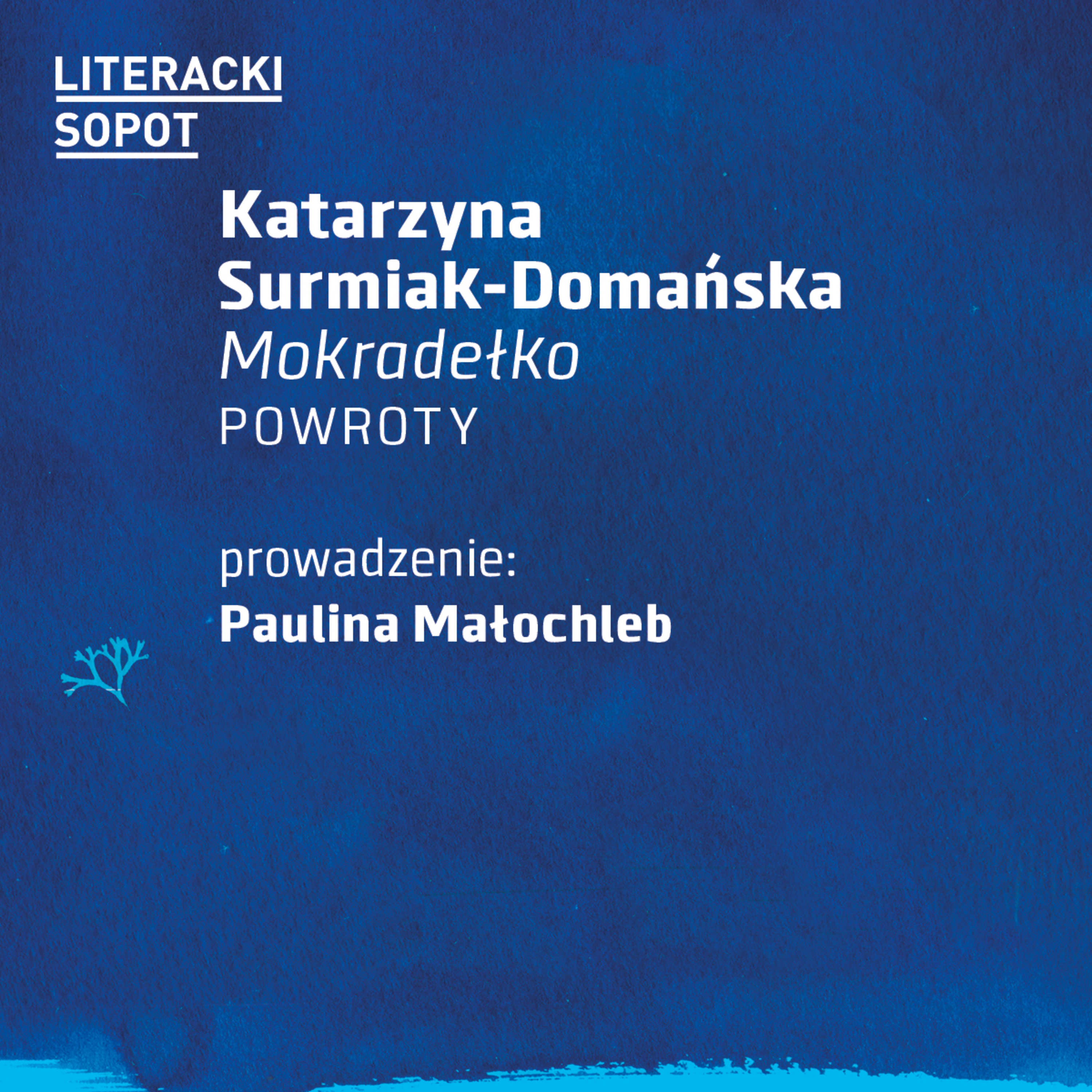 LS2024 | Katarzyna Surmiak-Domańska episode artwork