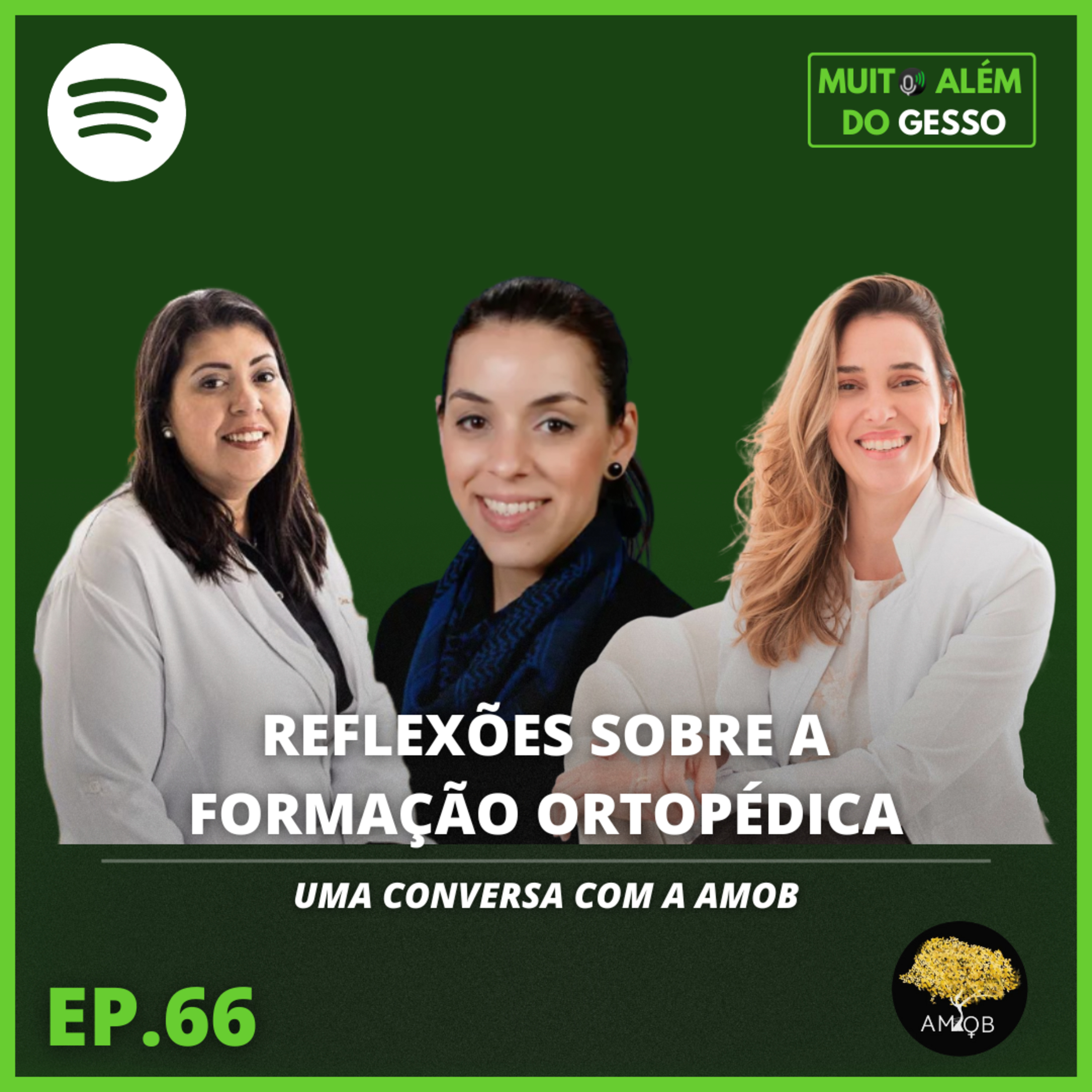Muito Além do Gesso