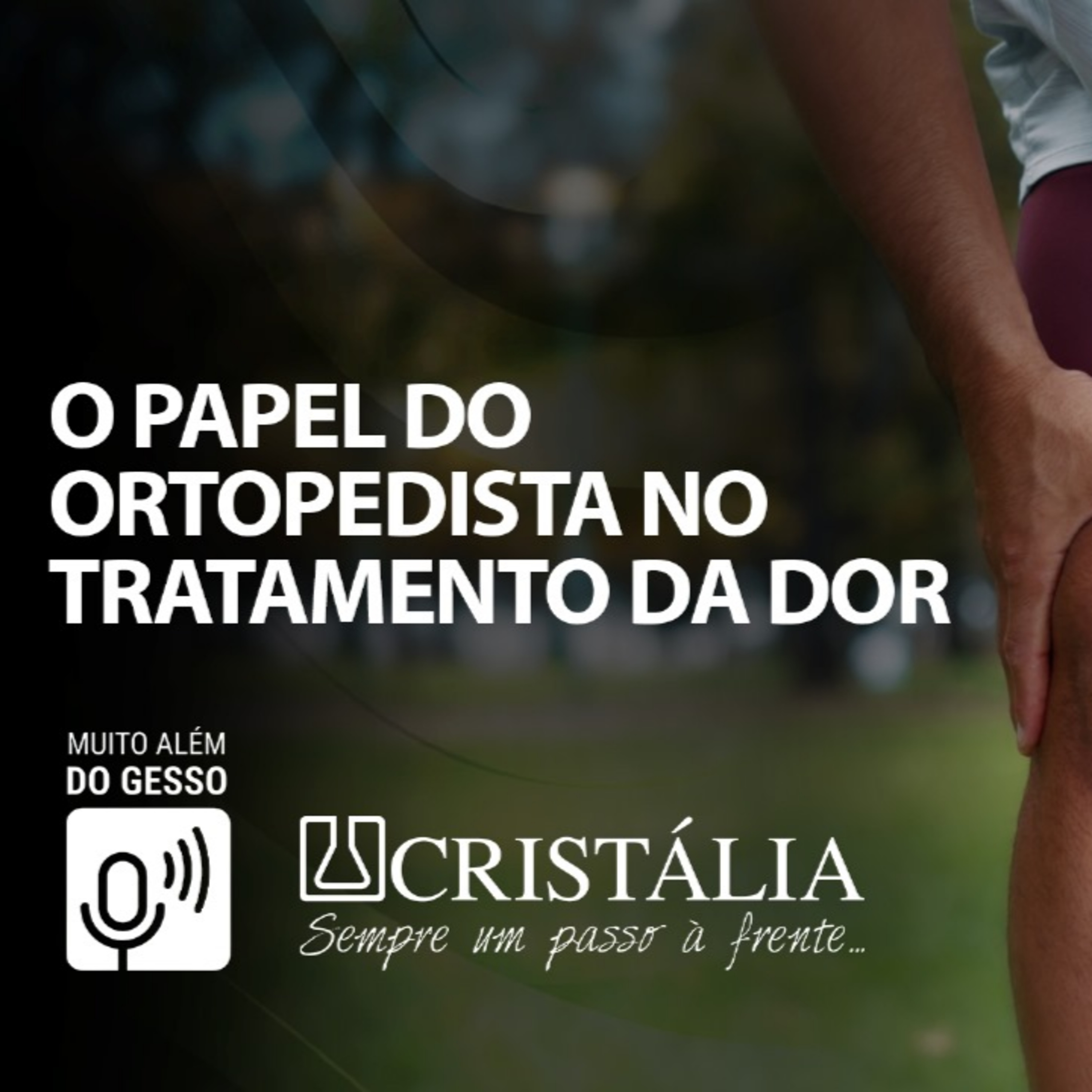 Muito Além do Gesso