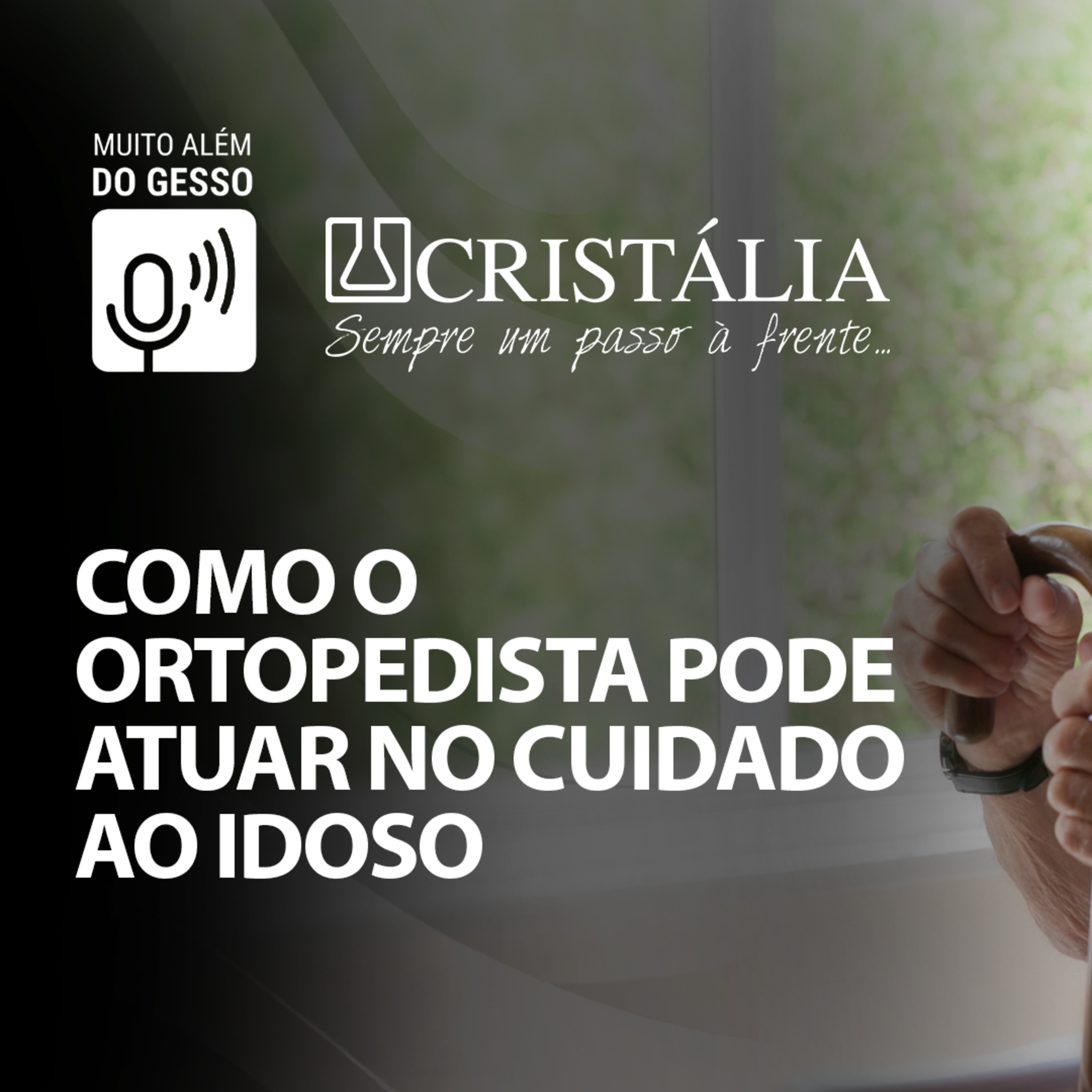 Muito Além do Gesso