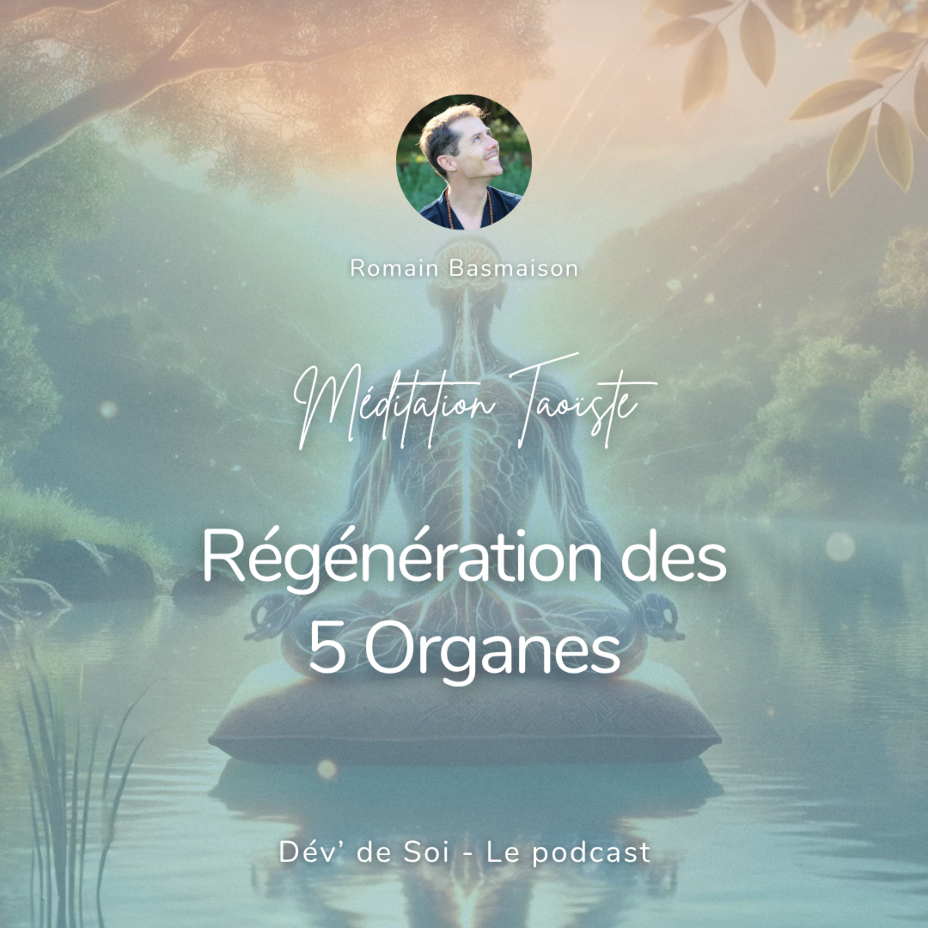 Méditation Taoïste - Régénération des 5 Organes episode artwork