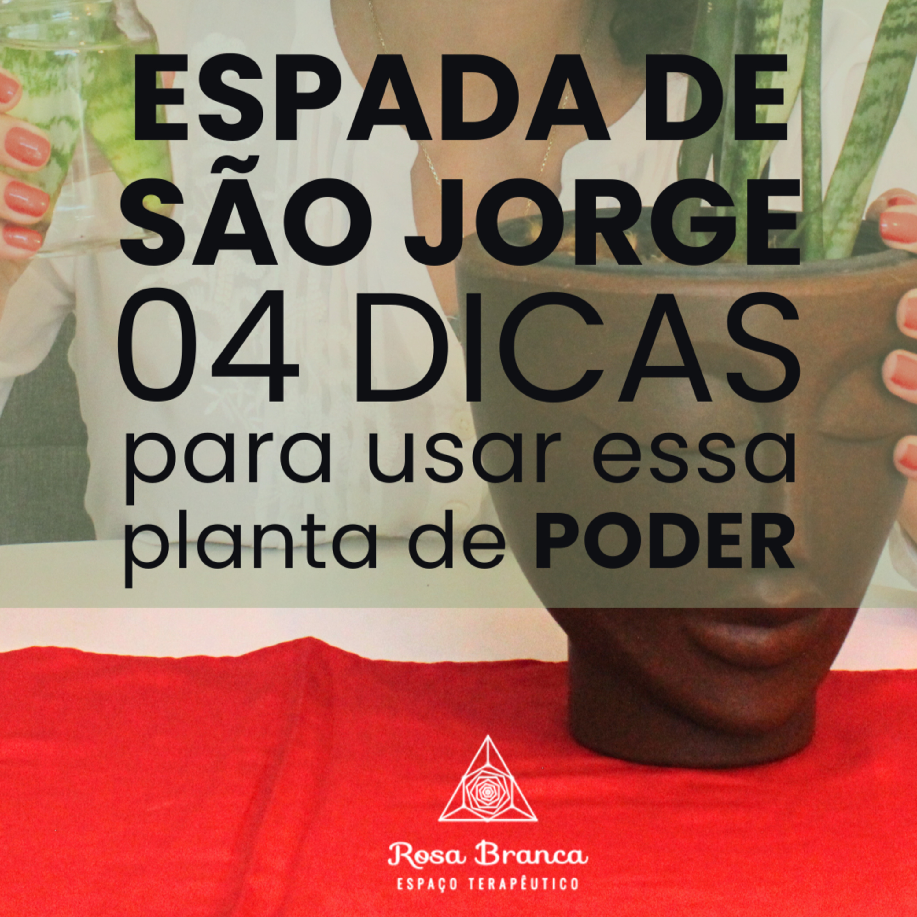 Espada São Jorge: 04 DICAS para usar essa planta de PODER! 🌿🗡
