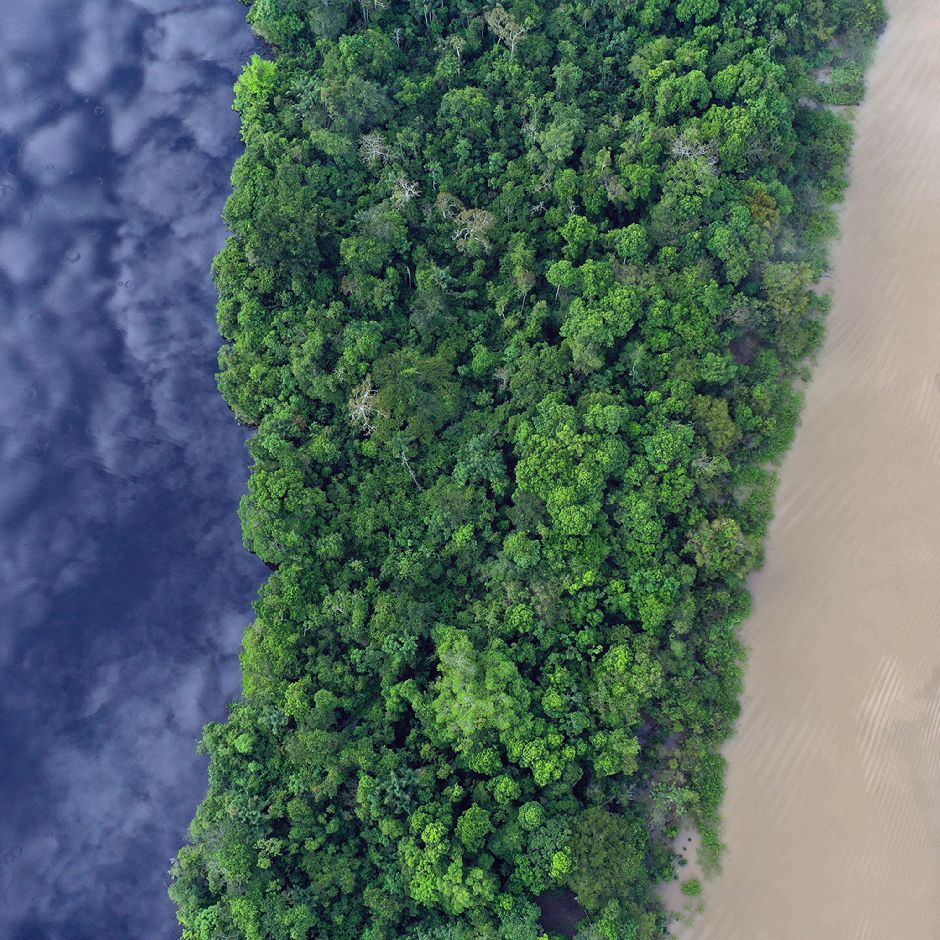 Carina Hoorn on the Evolution of the Amazon Basin Carina Hoorn on the Evolution of the Amazon Basin