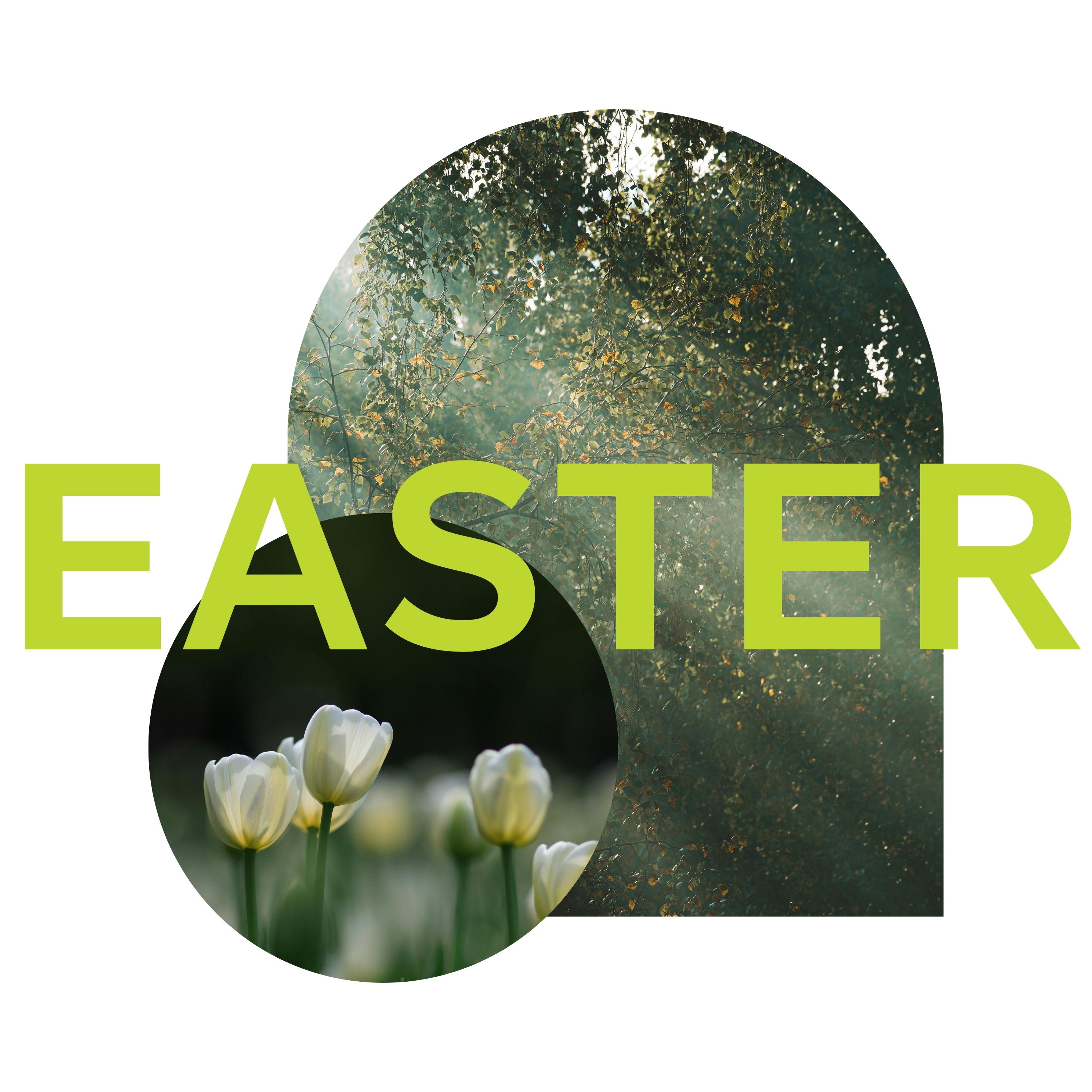 Easter 2026 | What if? episode artwork
