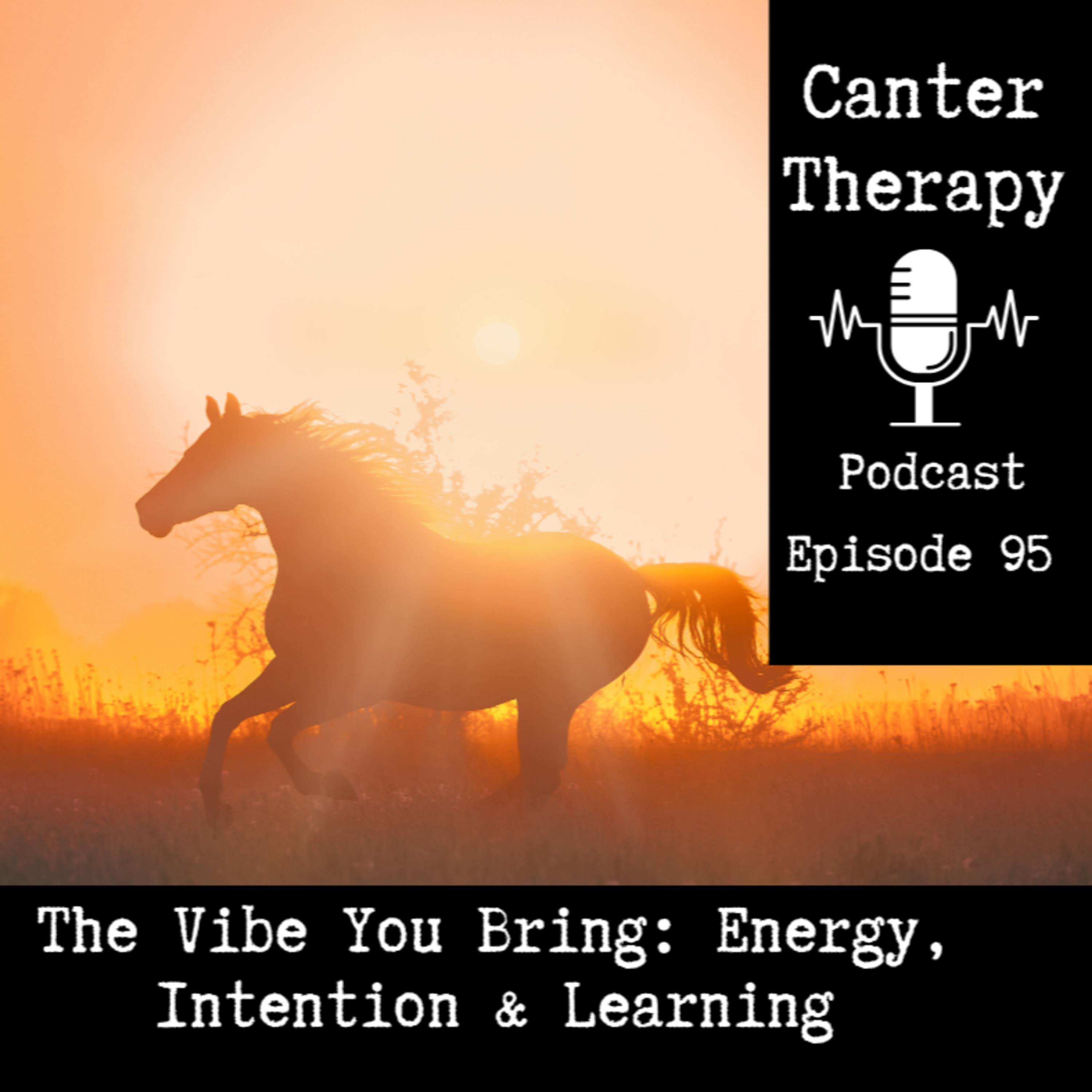 95. The Vibe You Bring: Energy, Intention & Learning (for Humans and Horses) episode artwork