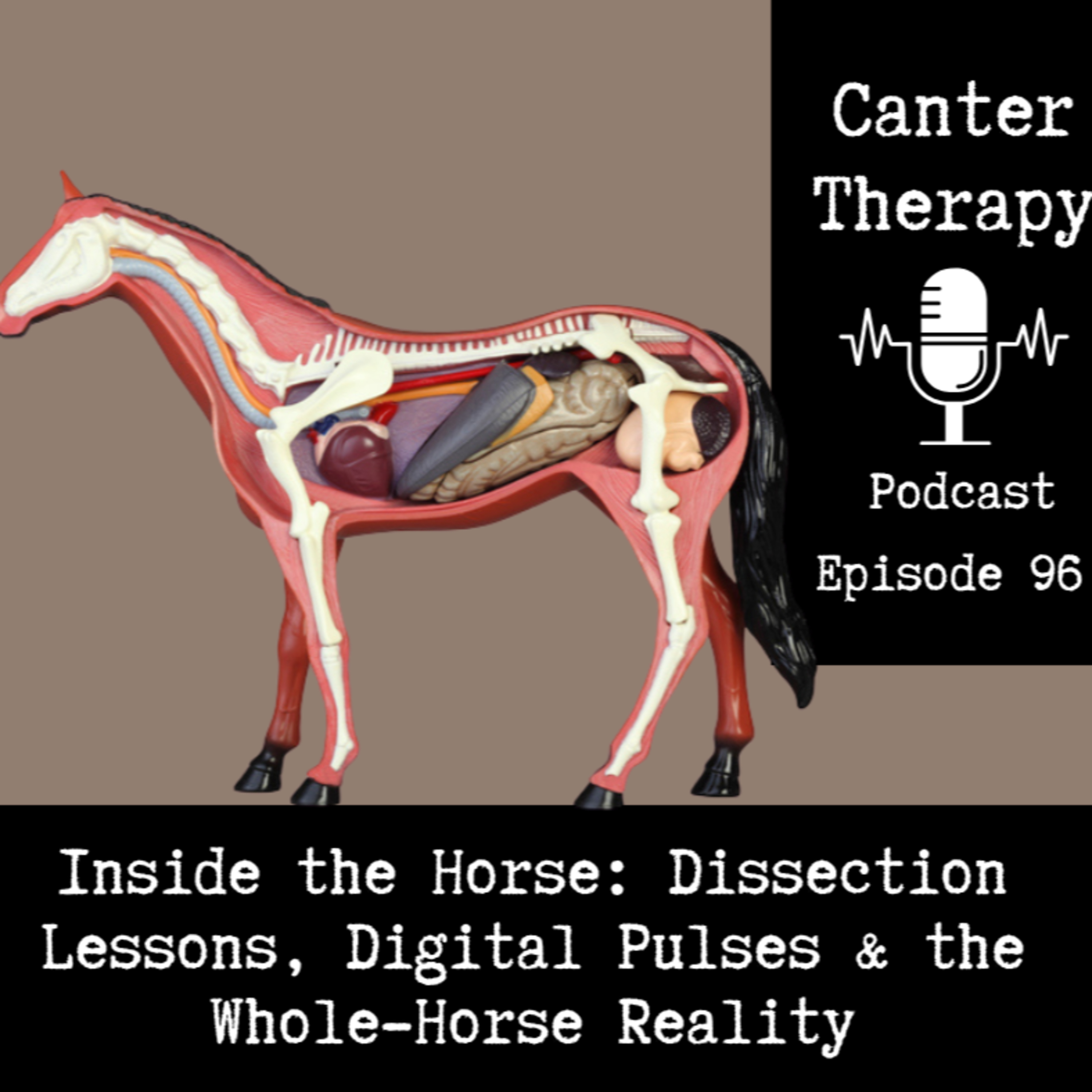 EPISODE 96. Inside the Horse: Dissection Lessons, Digital Pulses & the Whole-Horse Reality episode artwork